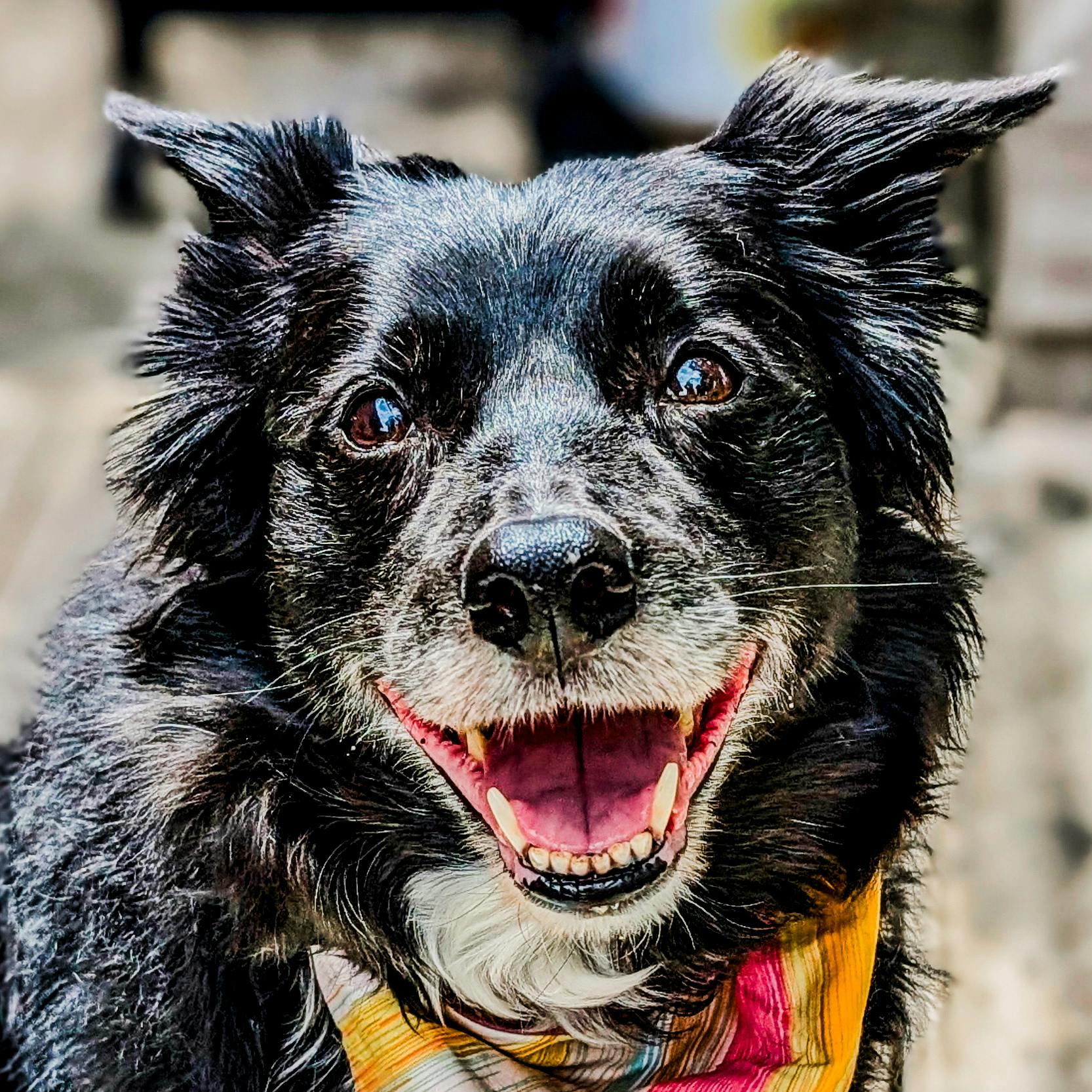 user avatar image for Kate