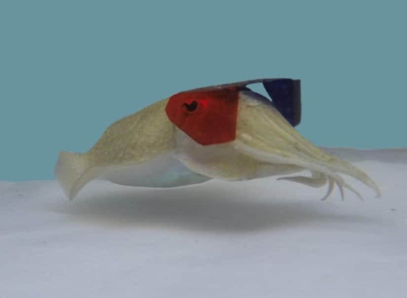 user avatar image for John