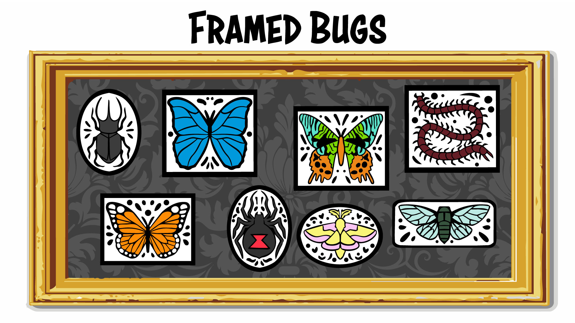 Framed Bug Collection