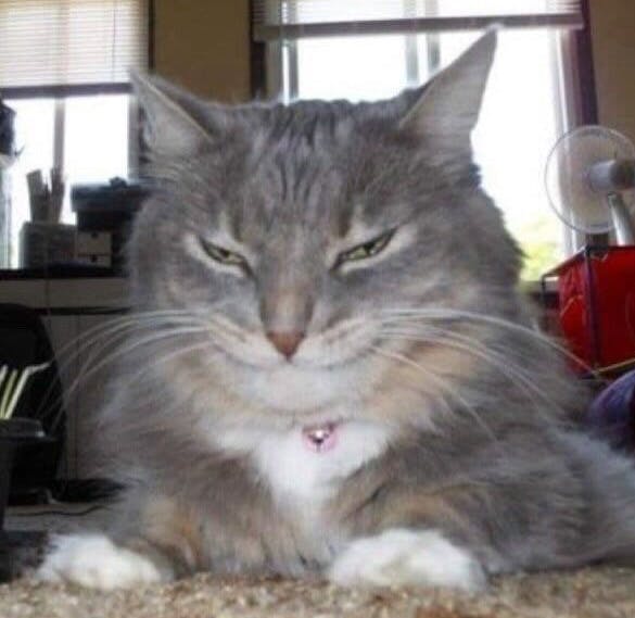 user avatar image for Klaus