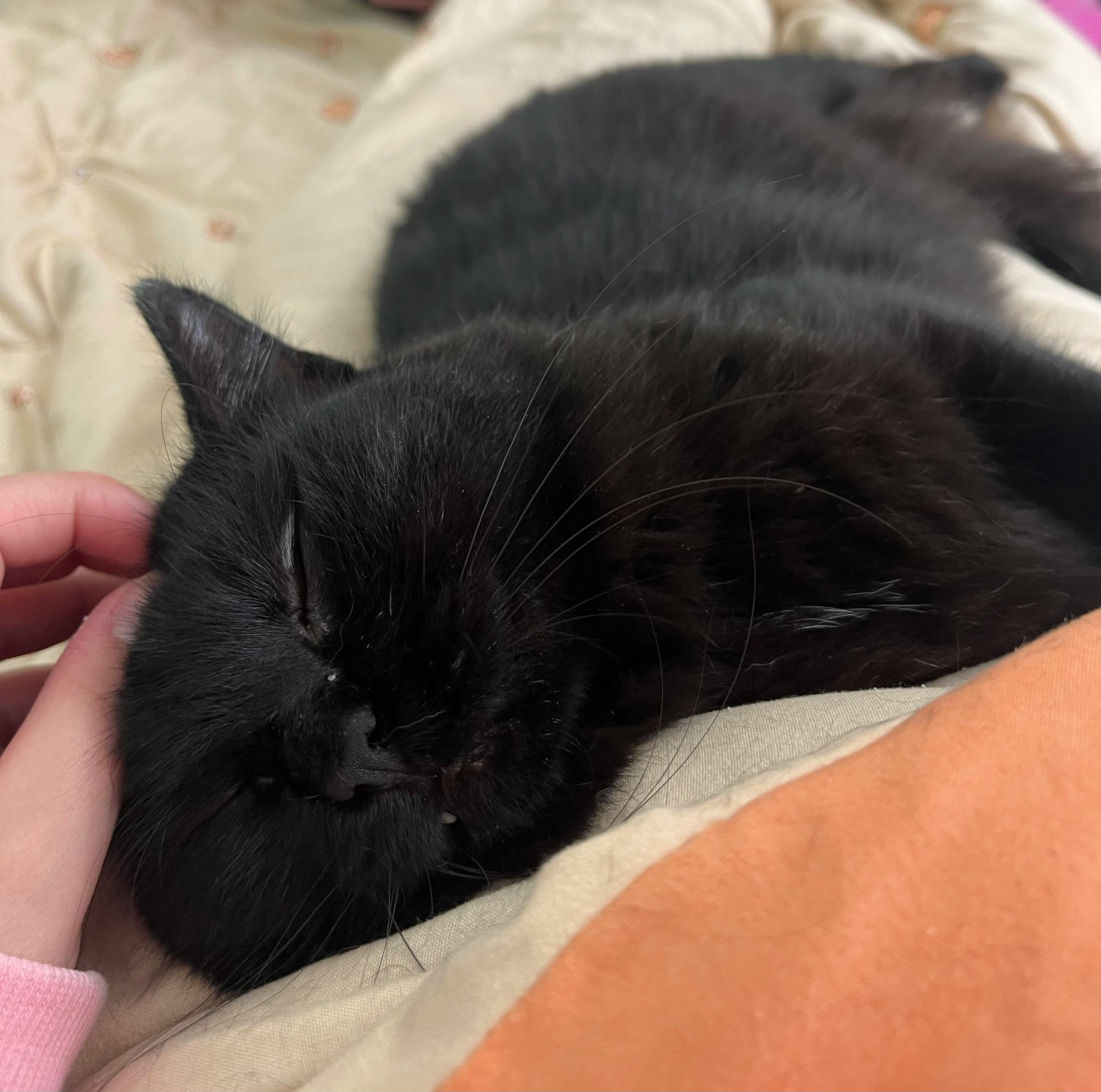 user avatar image for Chance