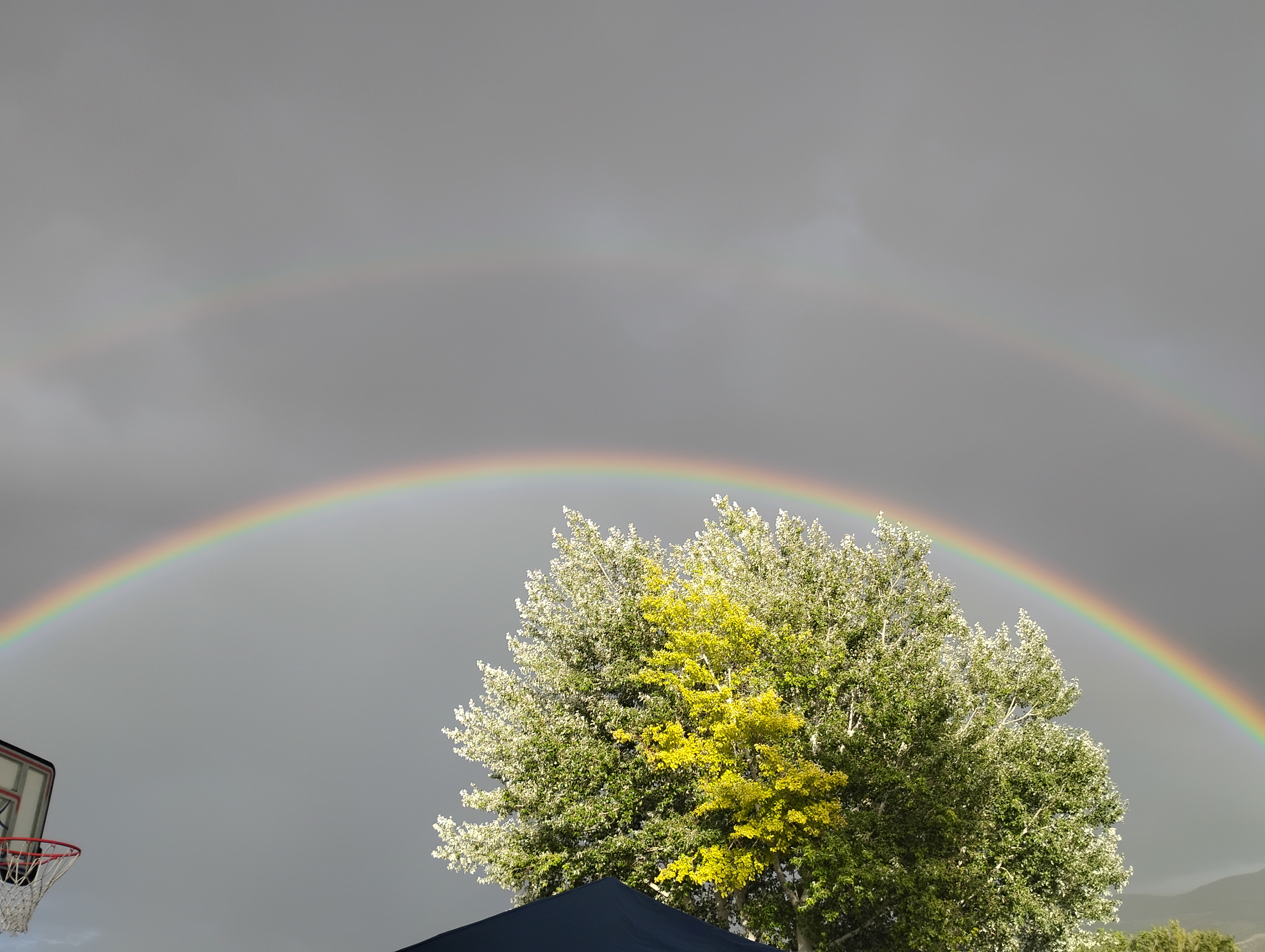 user avatar image for Jayn