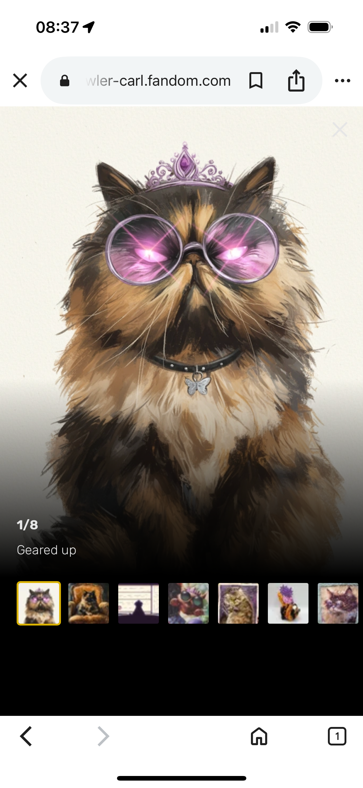 user avatar image for Lindsey