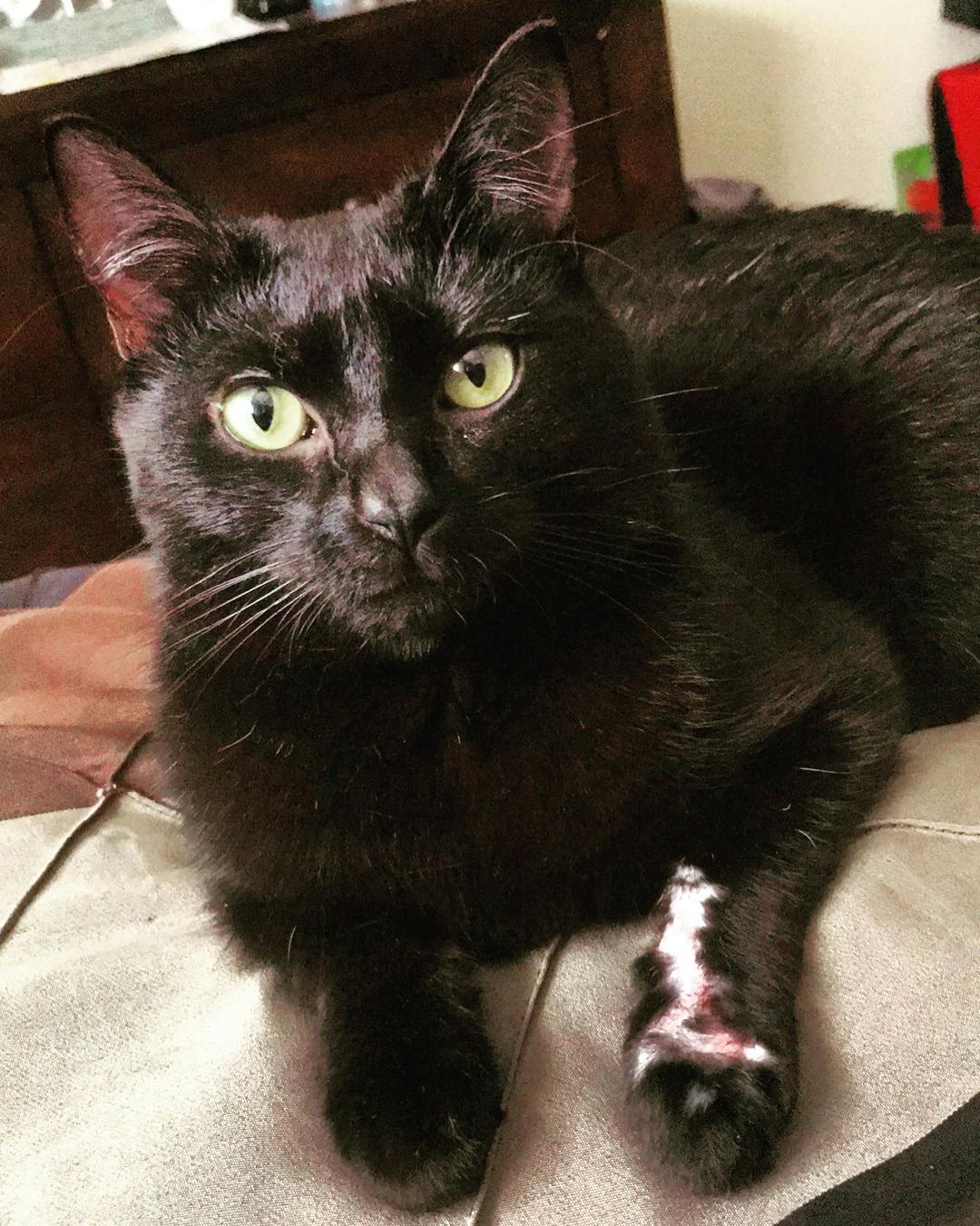 user avatar image for Scar LR