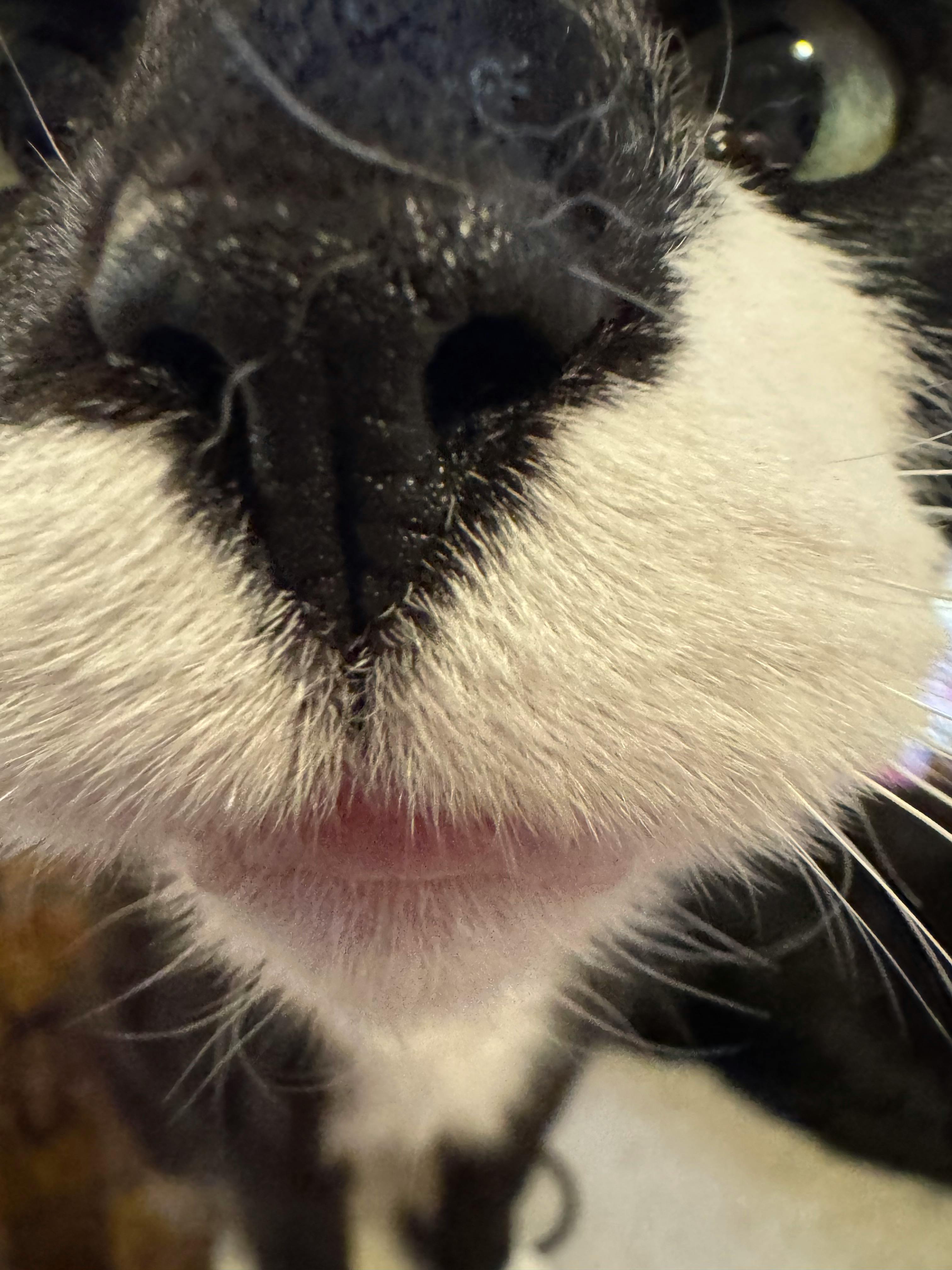 user avatar image for Ashley Wolfrum