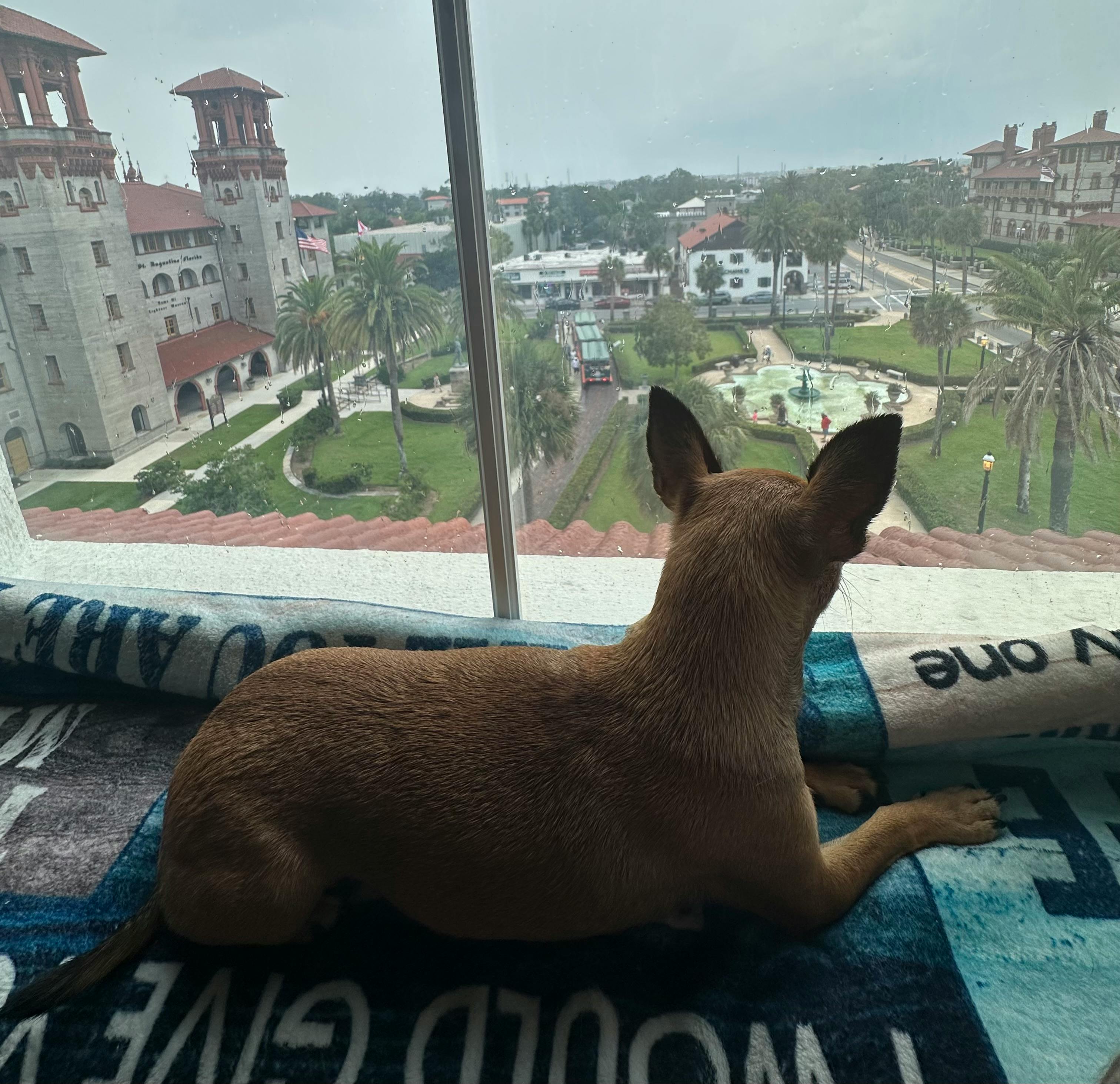 user avatar image for Candy Trevino