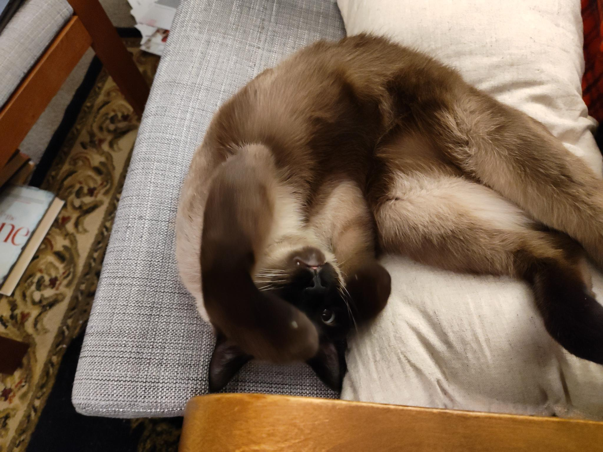 user avatar image for NJGR