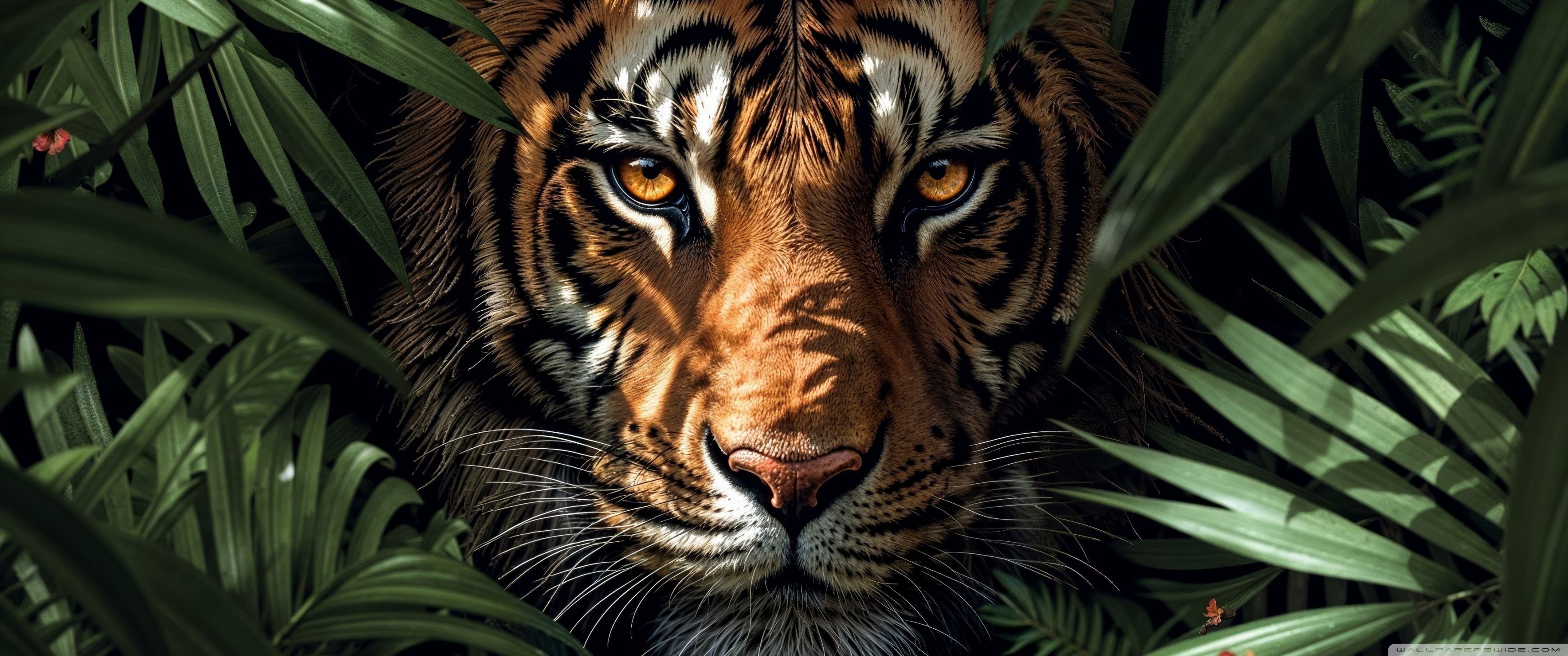 user avatar image for Thierry Haulotte