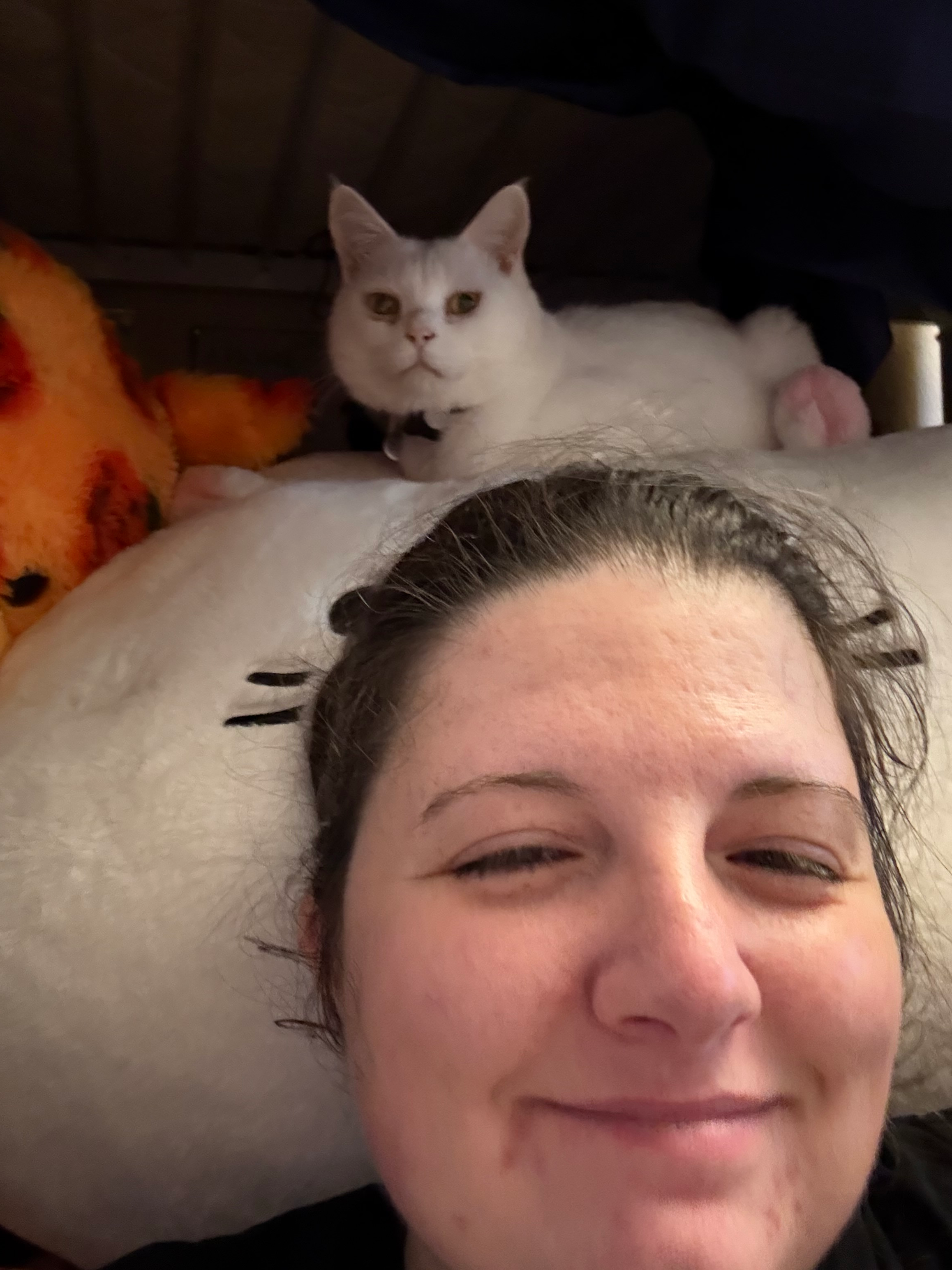 user avatar image for Ashleigh Pippin