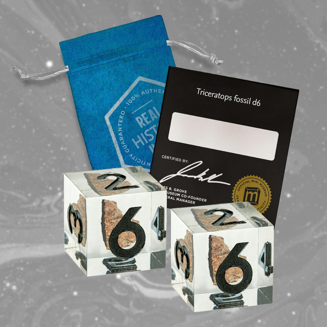 Set of 2 Triceratops d6s