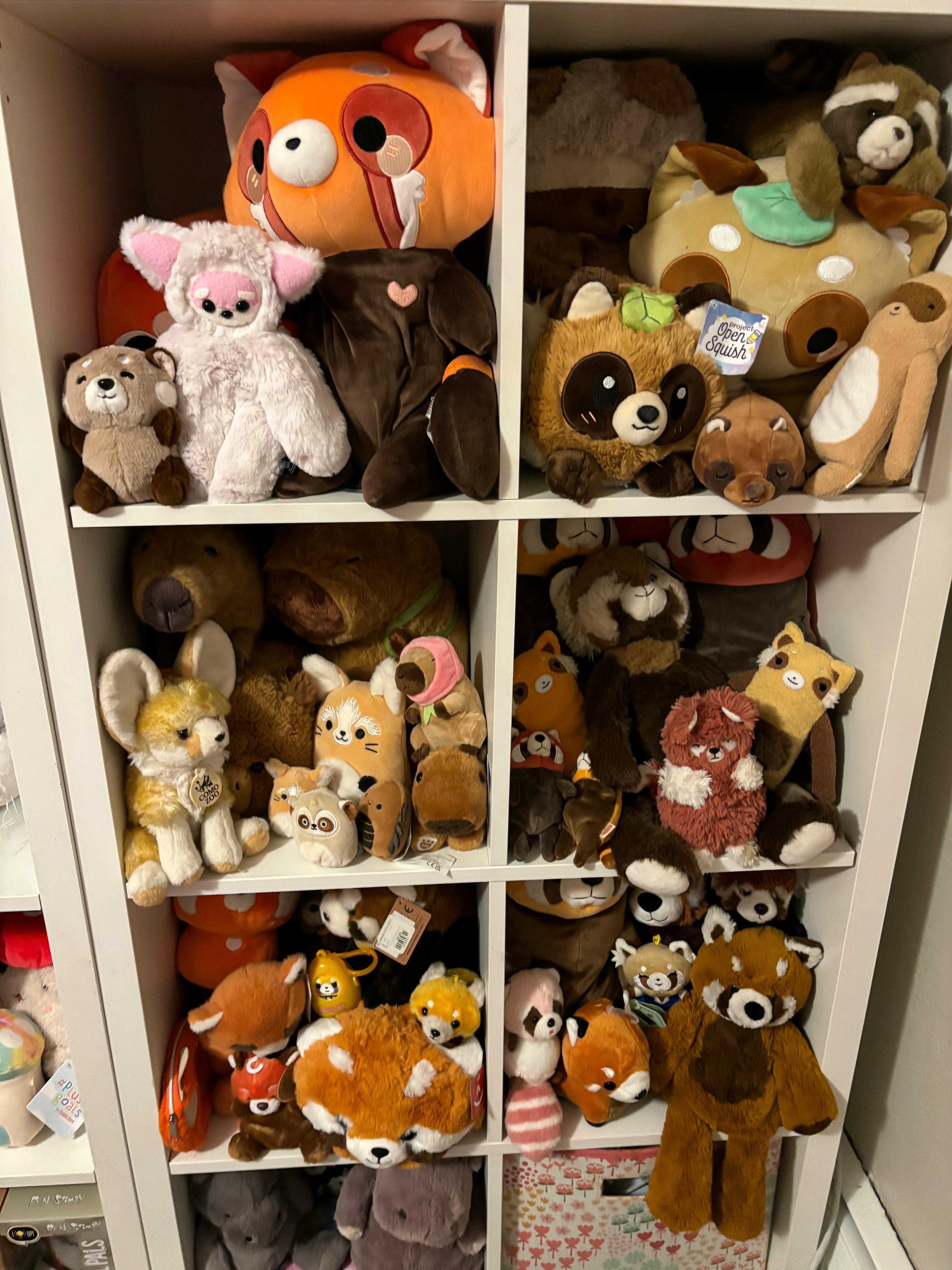 user avatar image for Phoebe