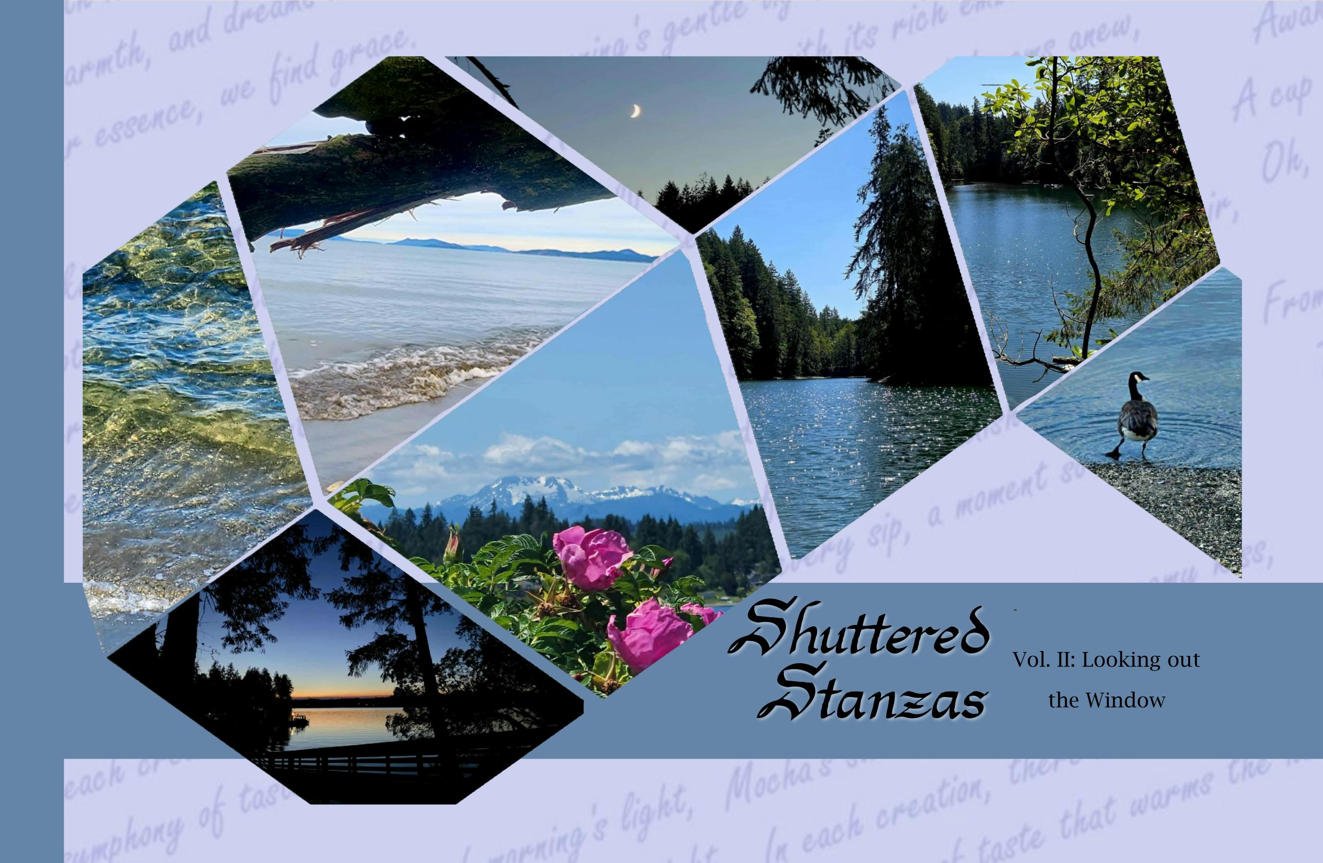 Shuttered Stanzas Vol 2