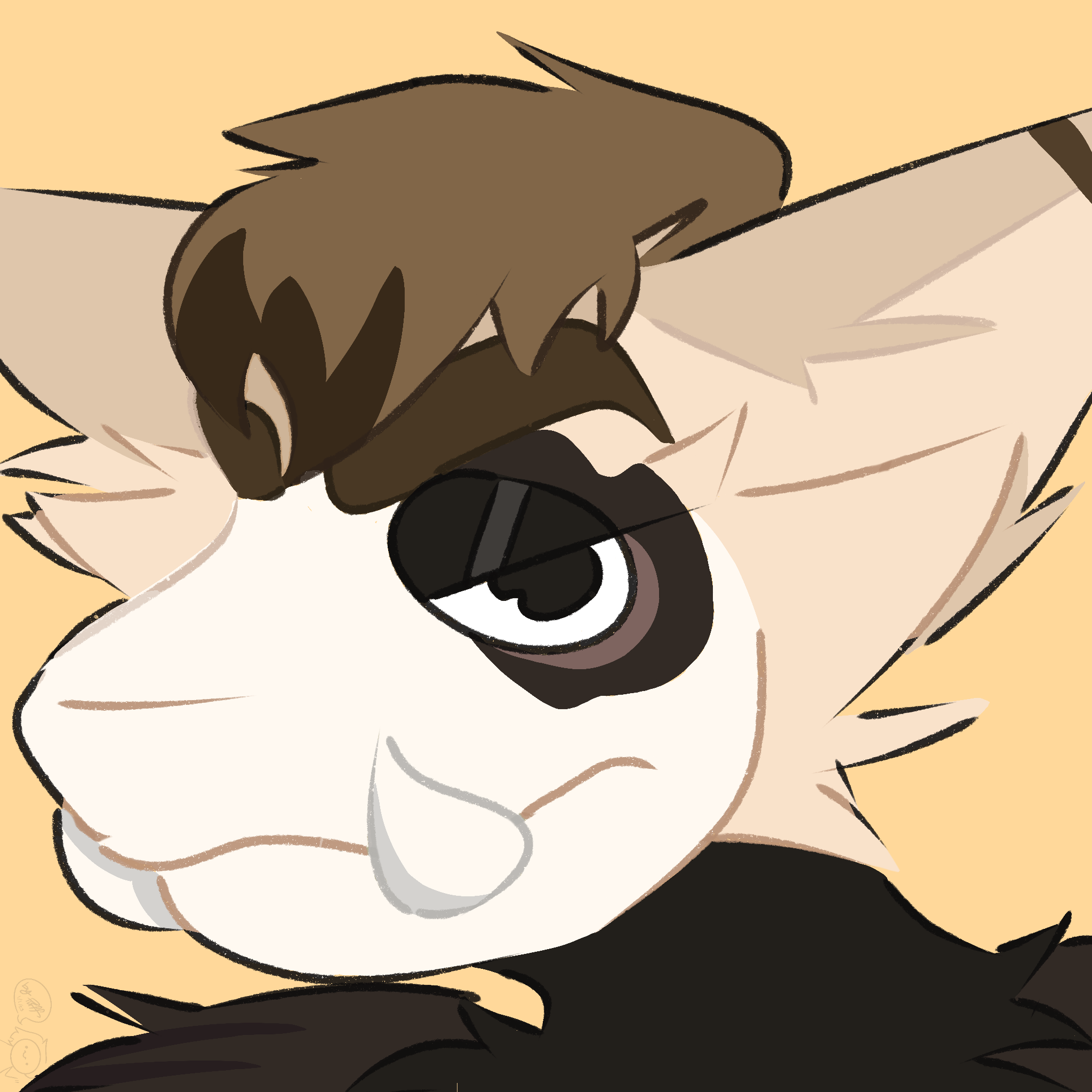 user avatar image for Puffer