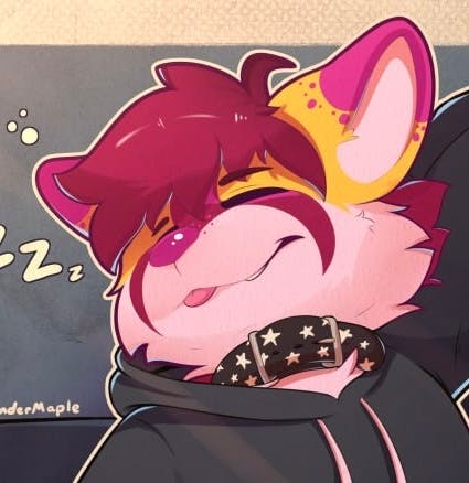 user avatar image for Dillon