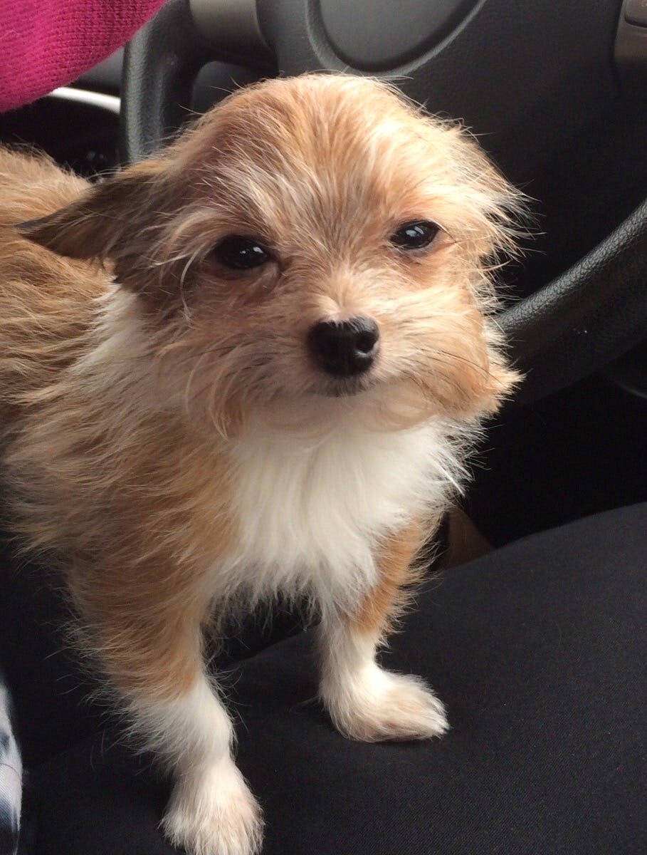 user avatar image for Gelnar