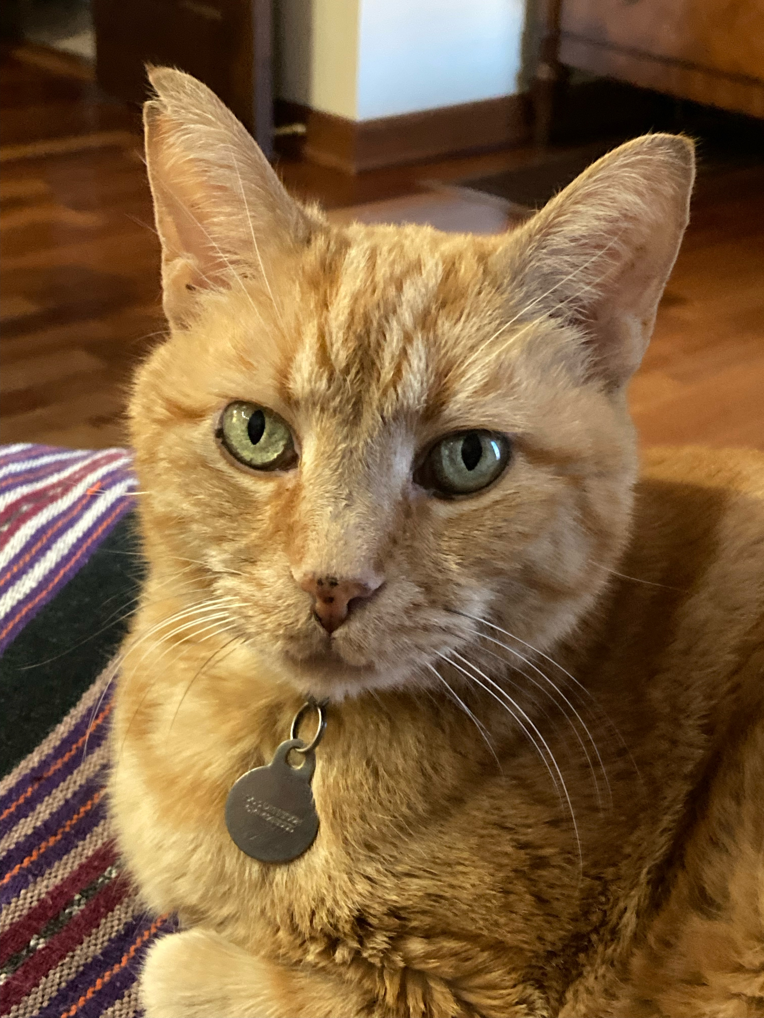 user avatar image for Suzanne Allison