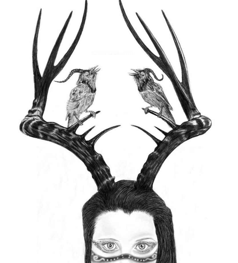 user avatar image for Cat Swartz