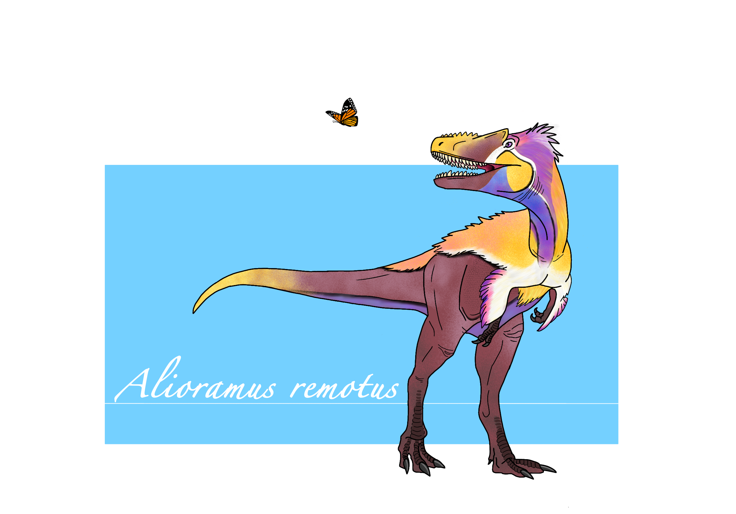 user avatar image for Helen M.