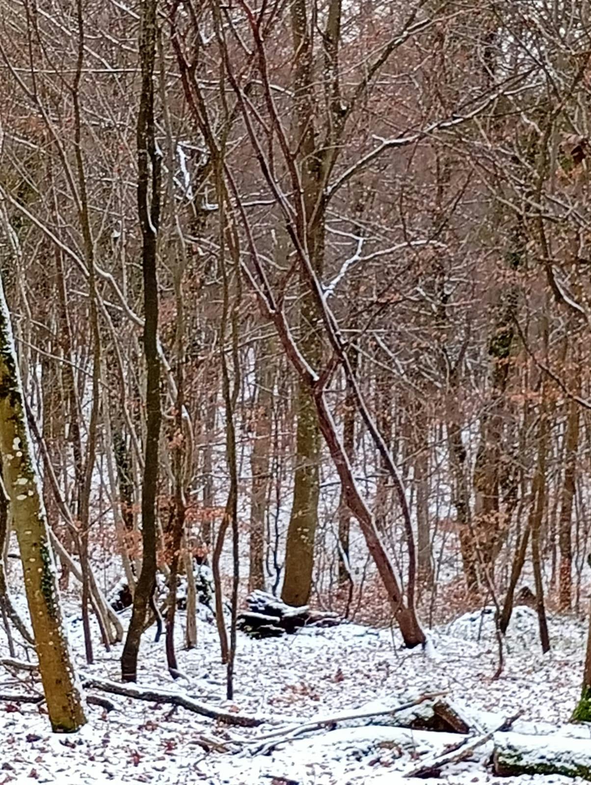 user avatar image for Ogu