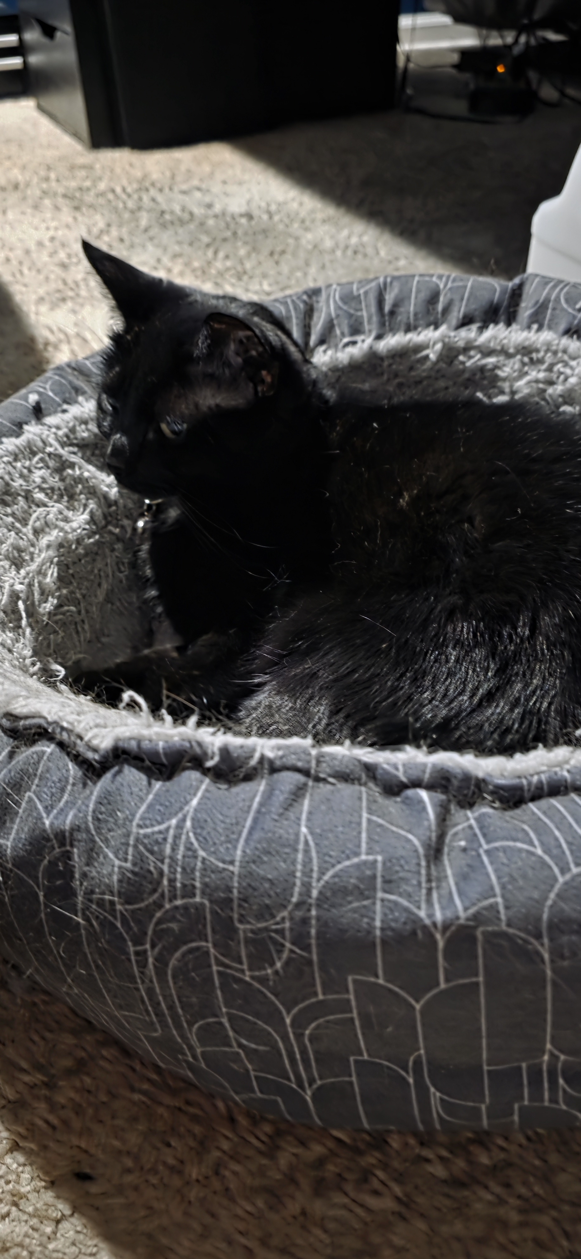 user avatar image for Frank