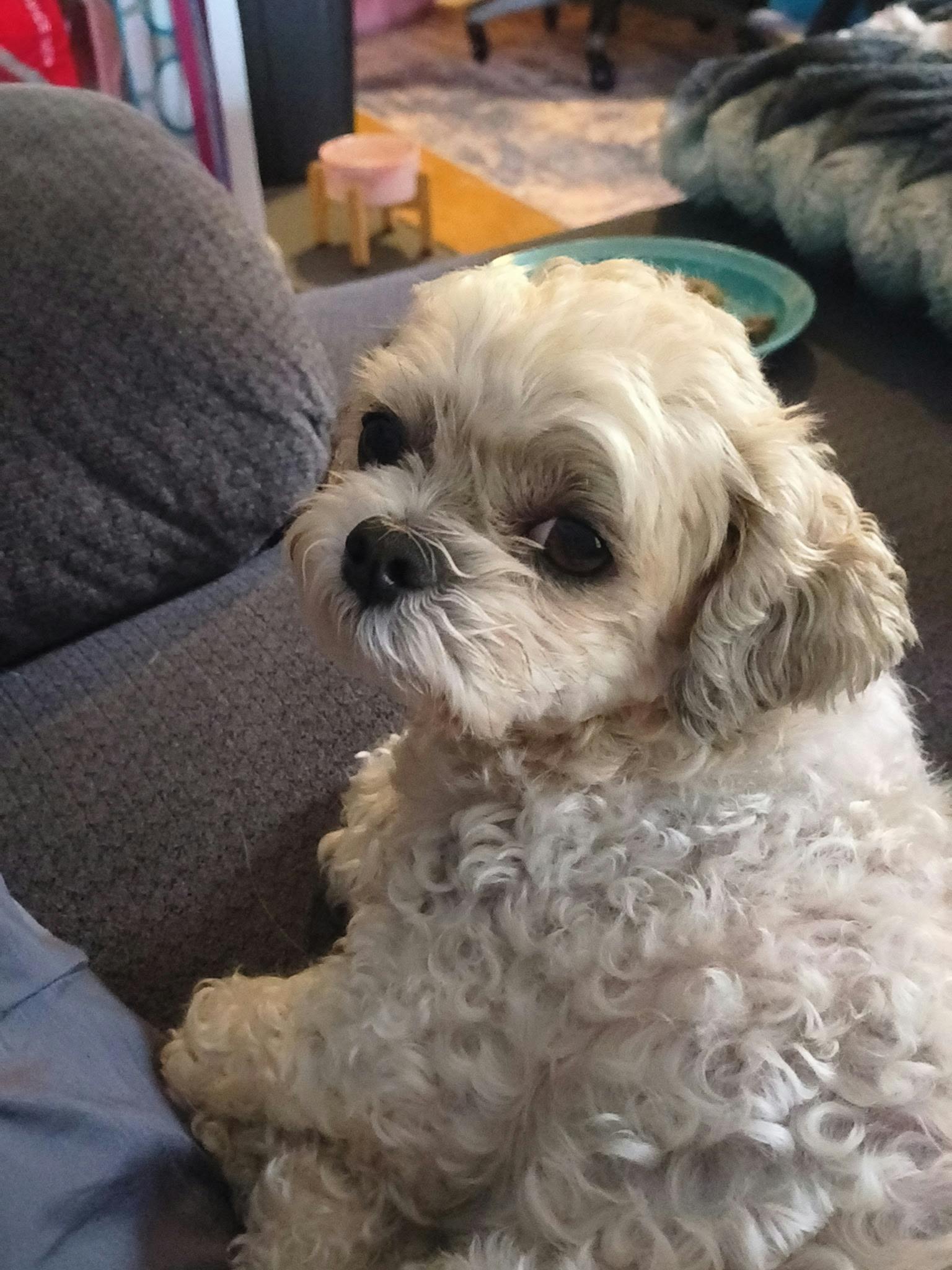 user avatar image for Kyrinn