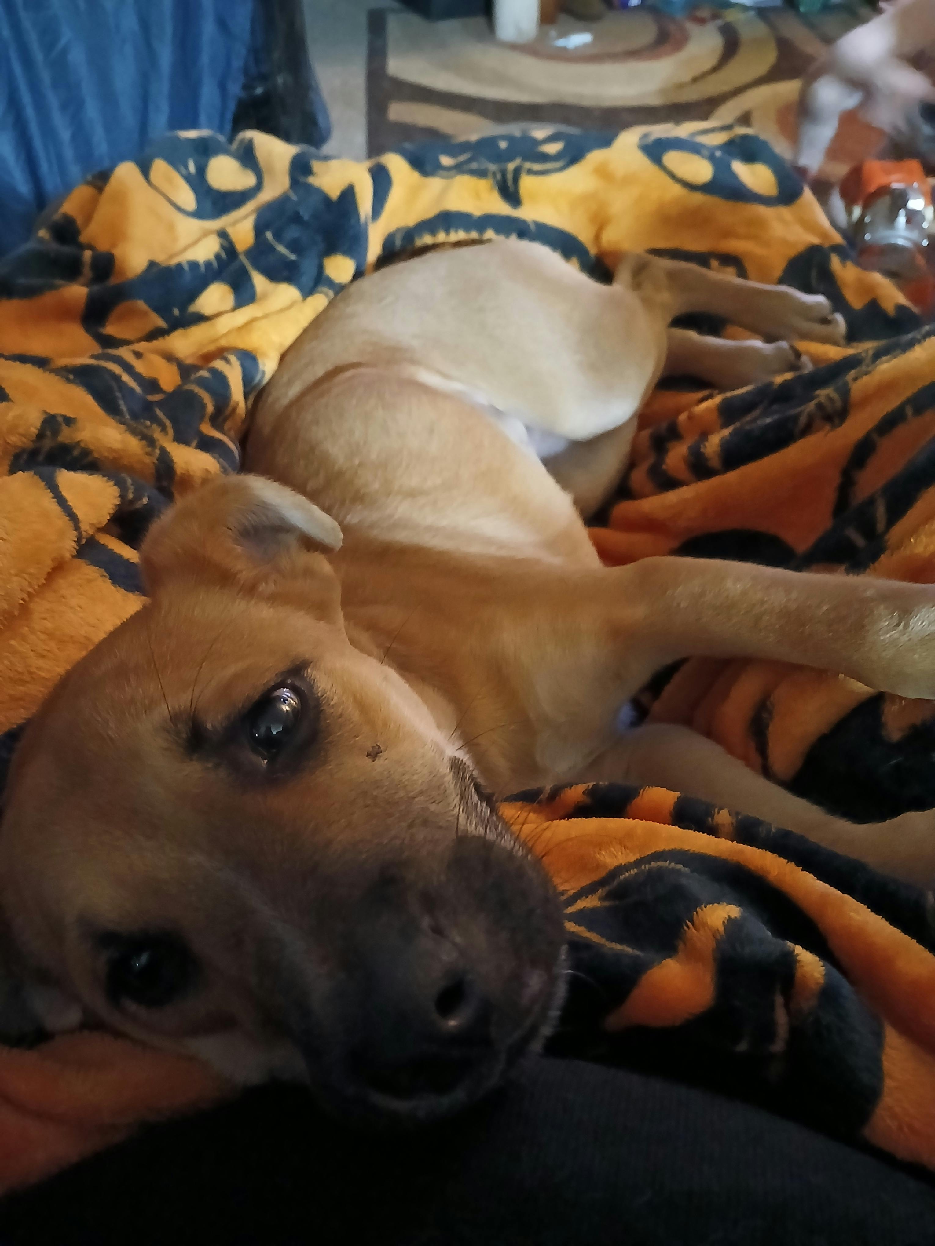 user avatar image for Joell goodrich