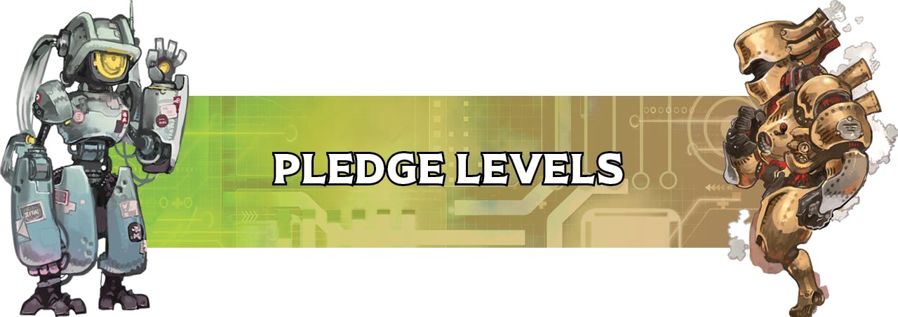 Pledge Levels