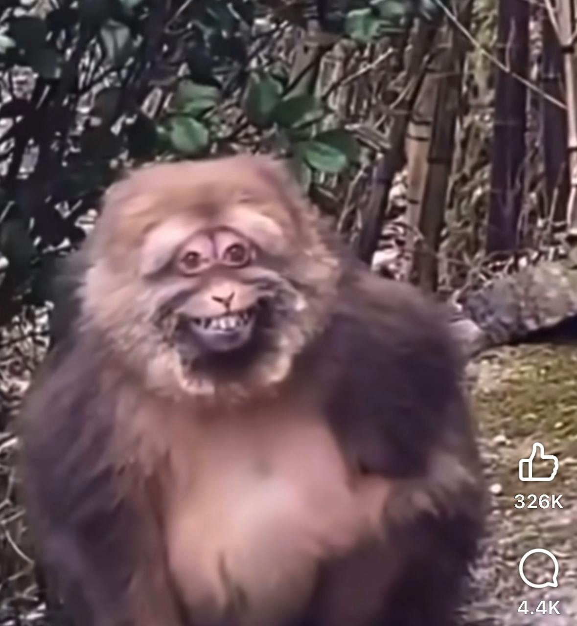 user avatar image for Capt Blackadder