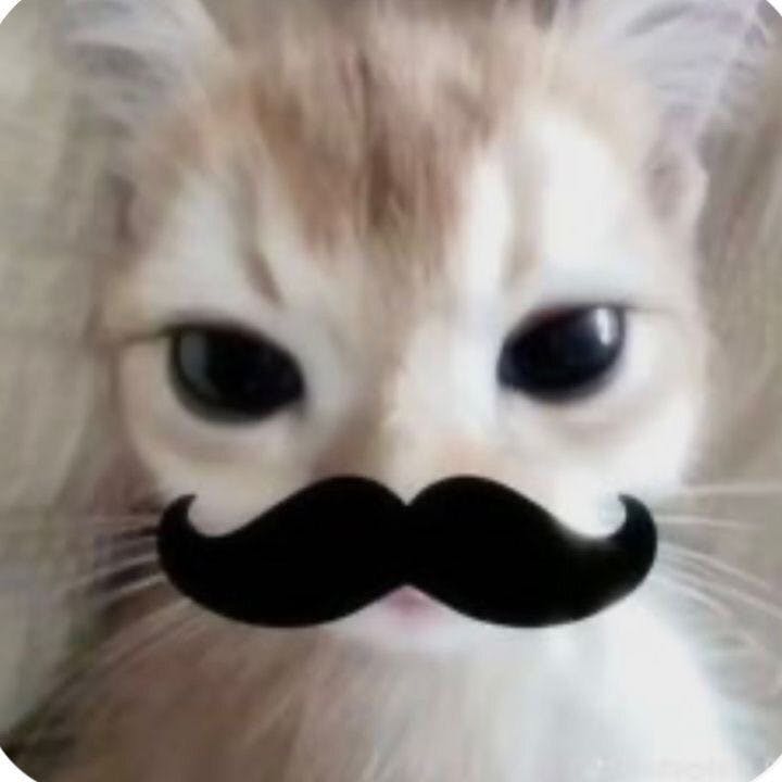 user avatar image for shay