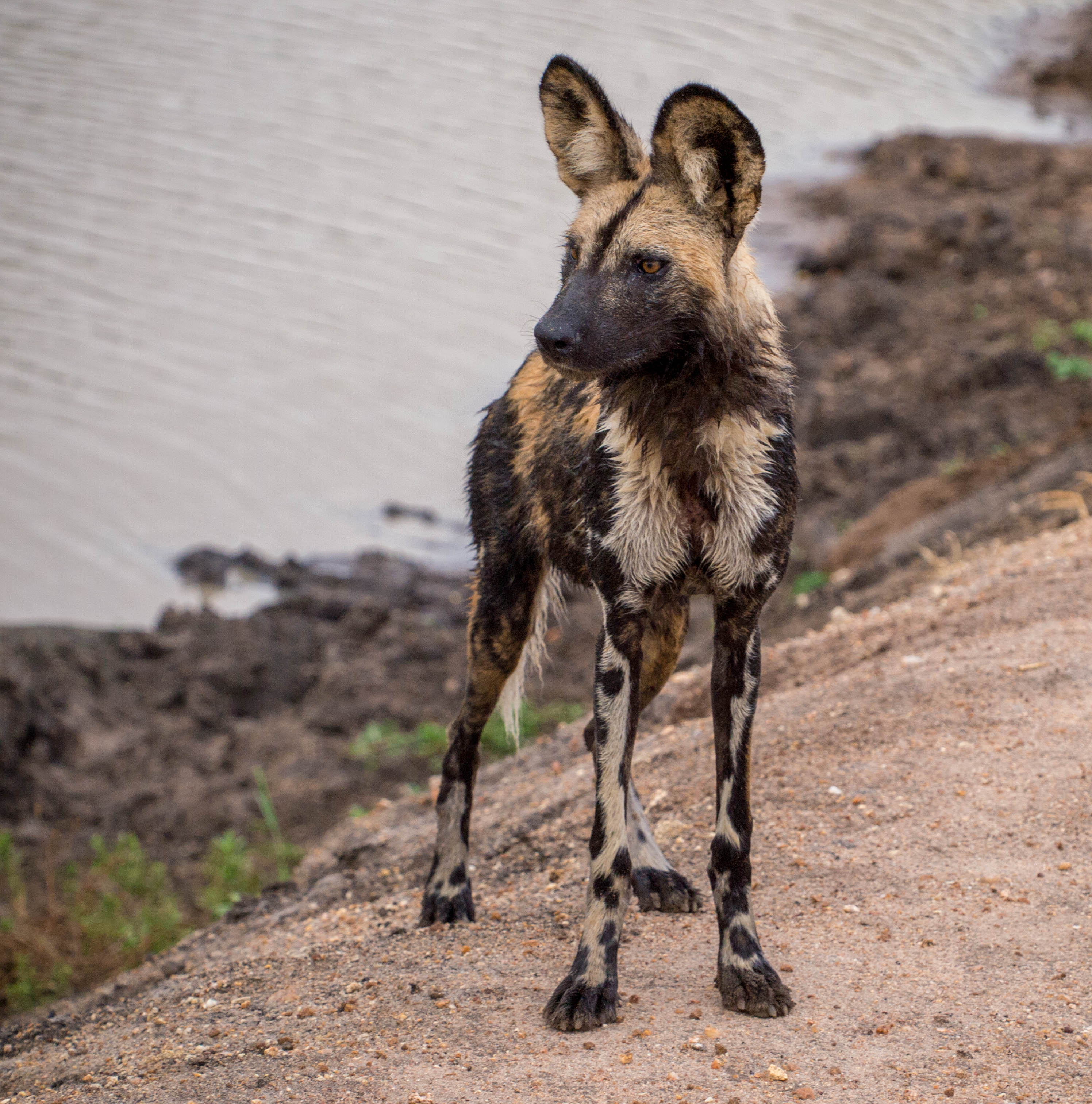 user avatar image for hyuuy6