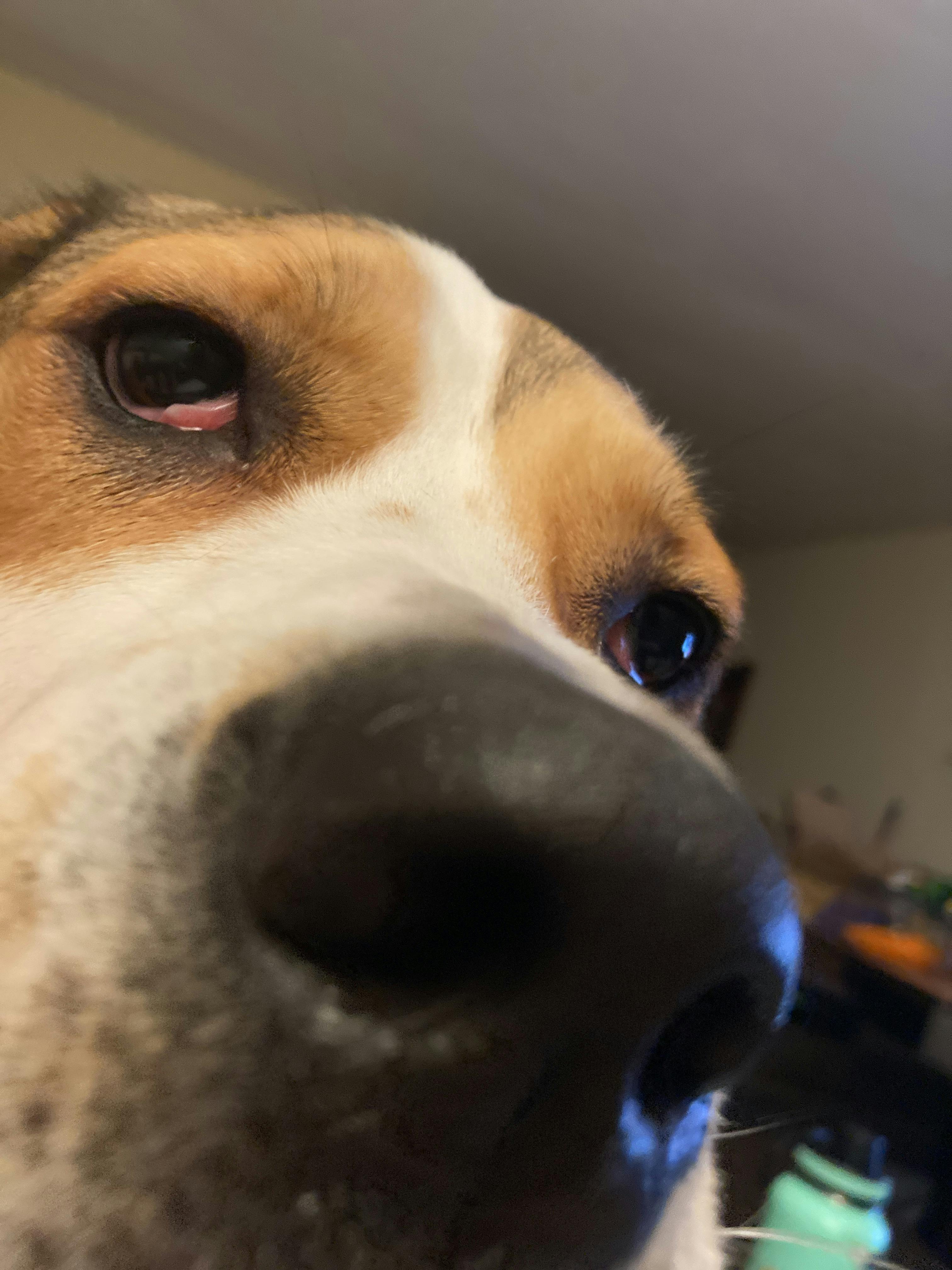 user avatar image for Jessica Higashida