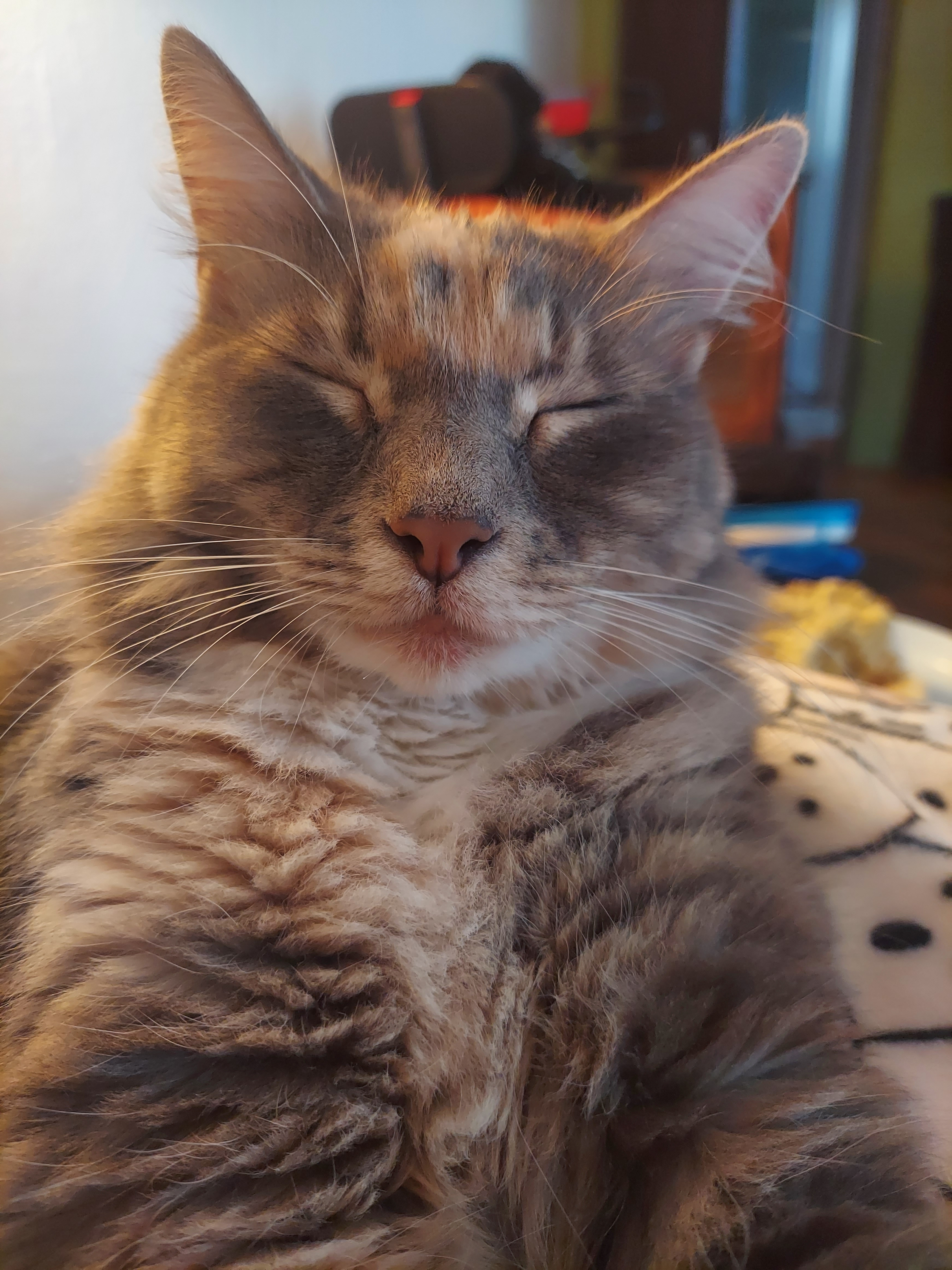 user avatar image for Sierra