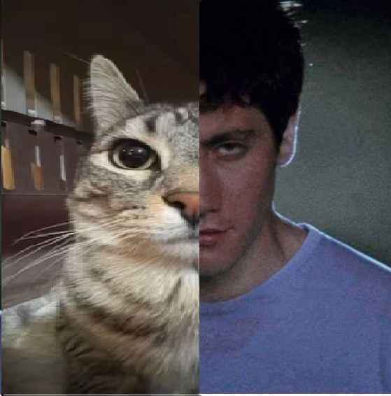 user avatar image for cptnoverkill