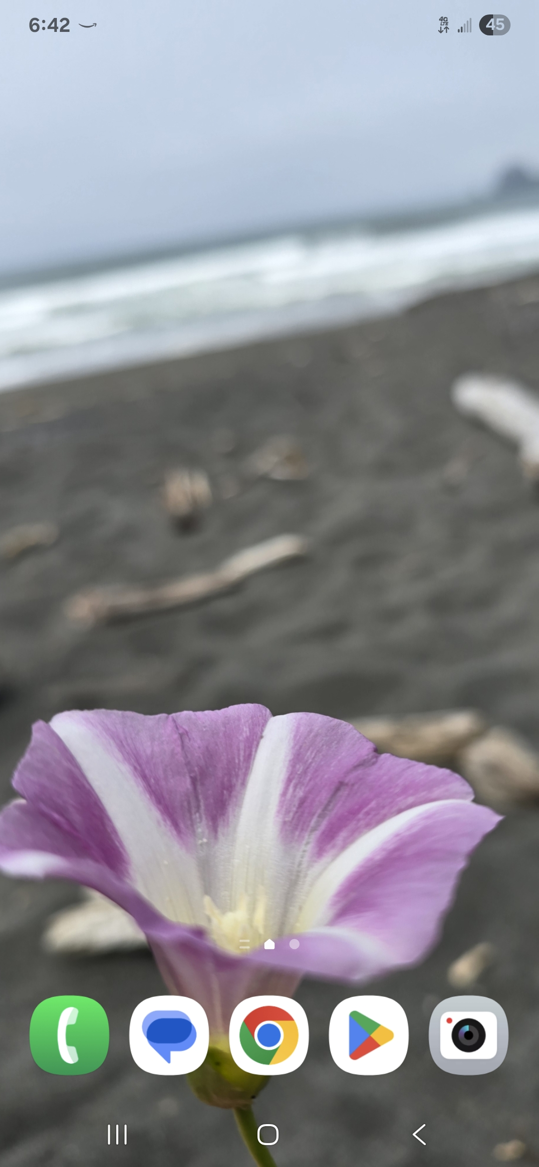 user avatar image for Amanda Hardwick 