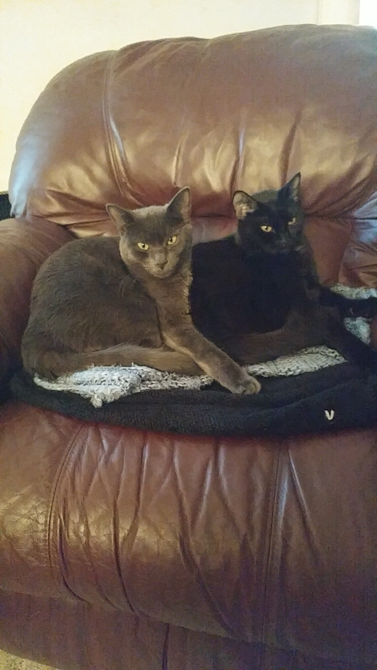 user avatar image for tloster