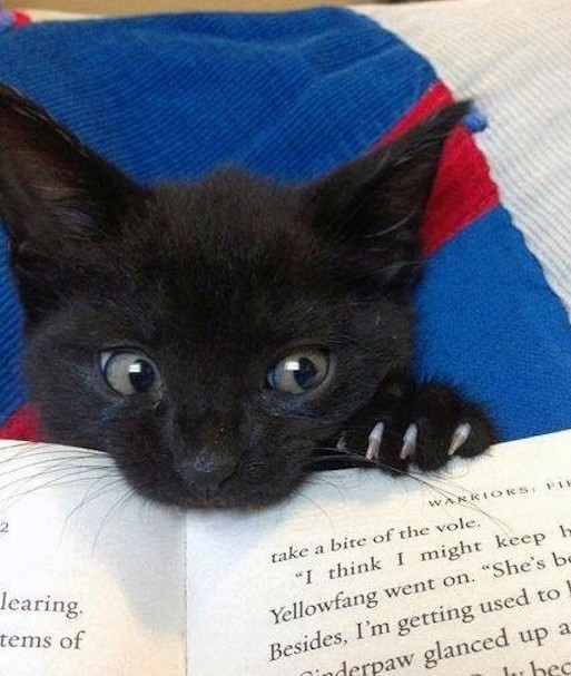 user avatar image for Alex Court