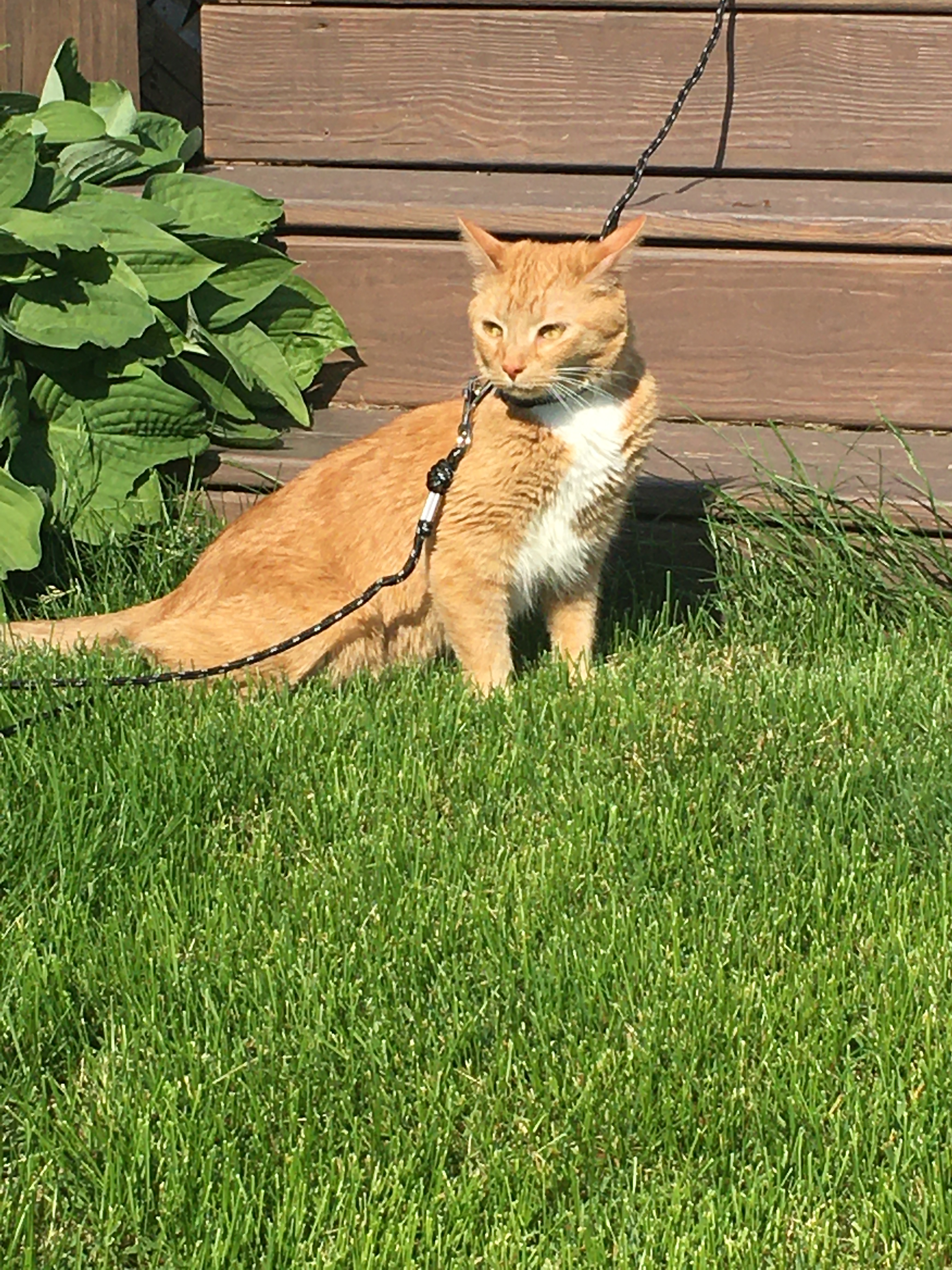 user avatar image for Audrey Amyotte