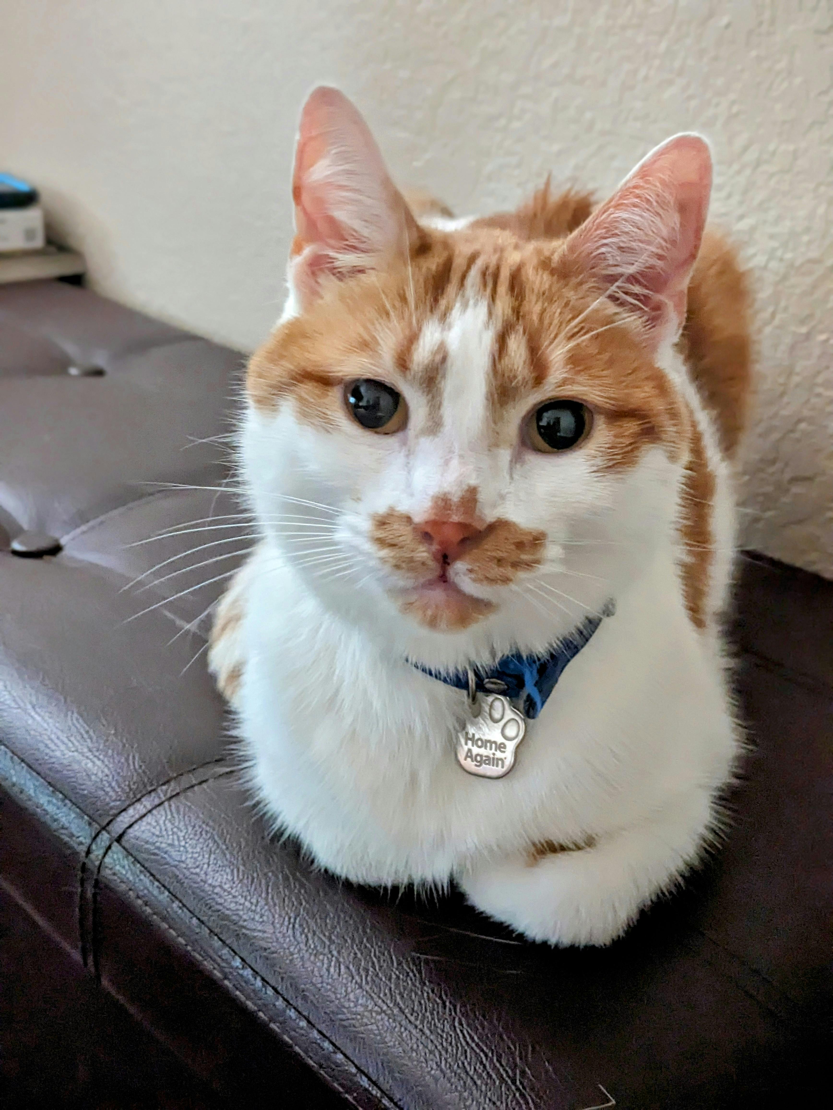 user avatar image for hoitmidius