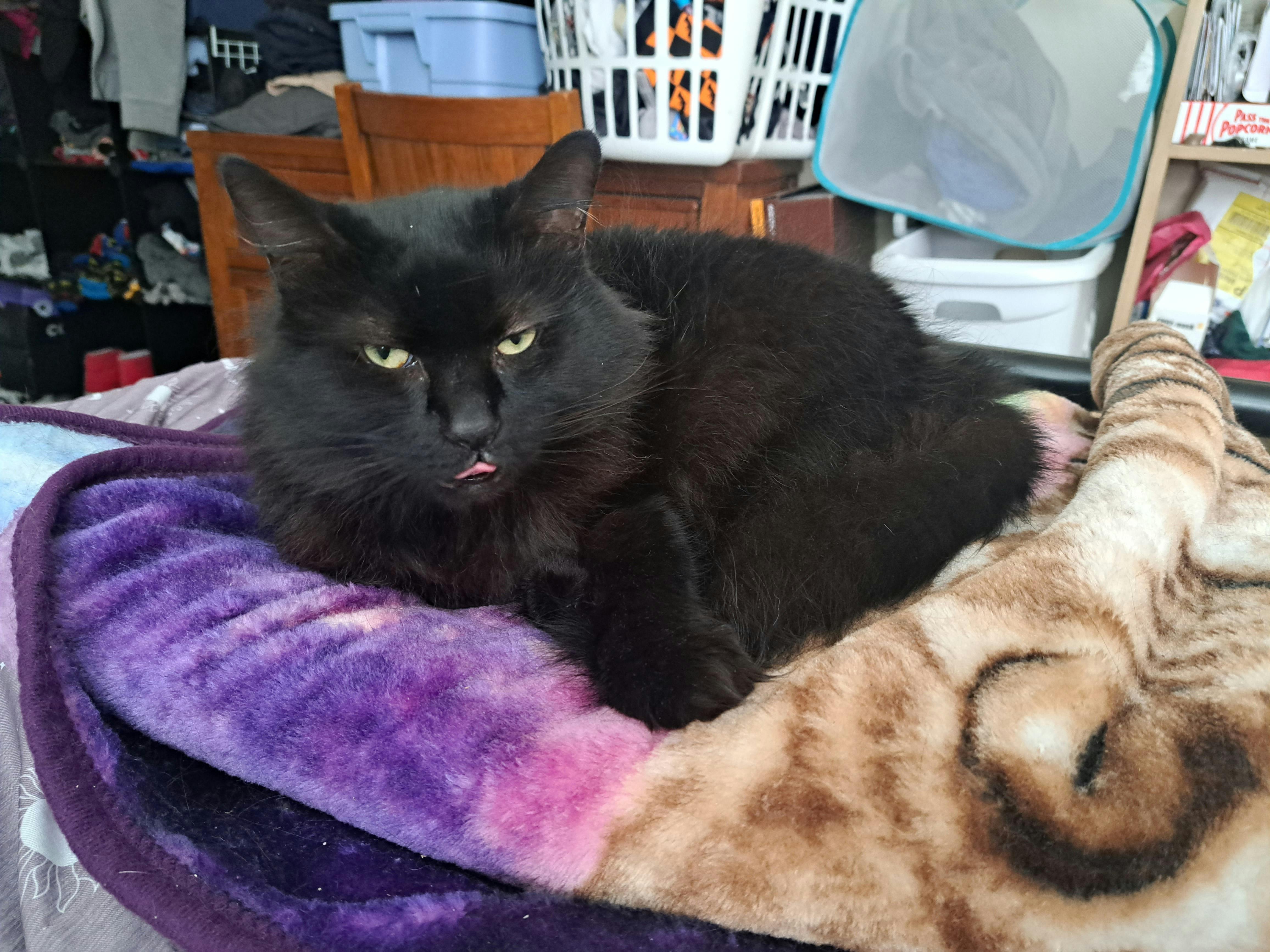 user avatar image for Ray