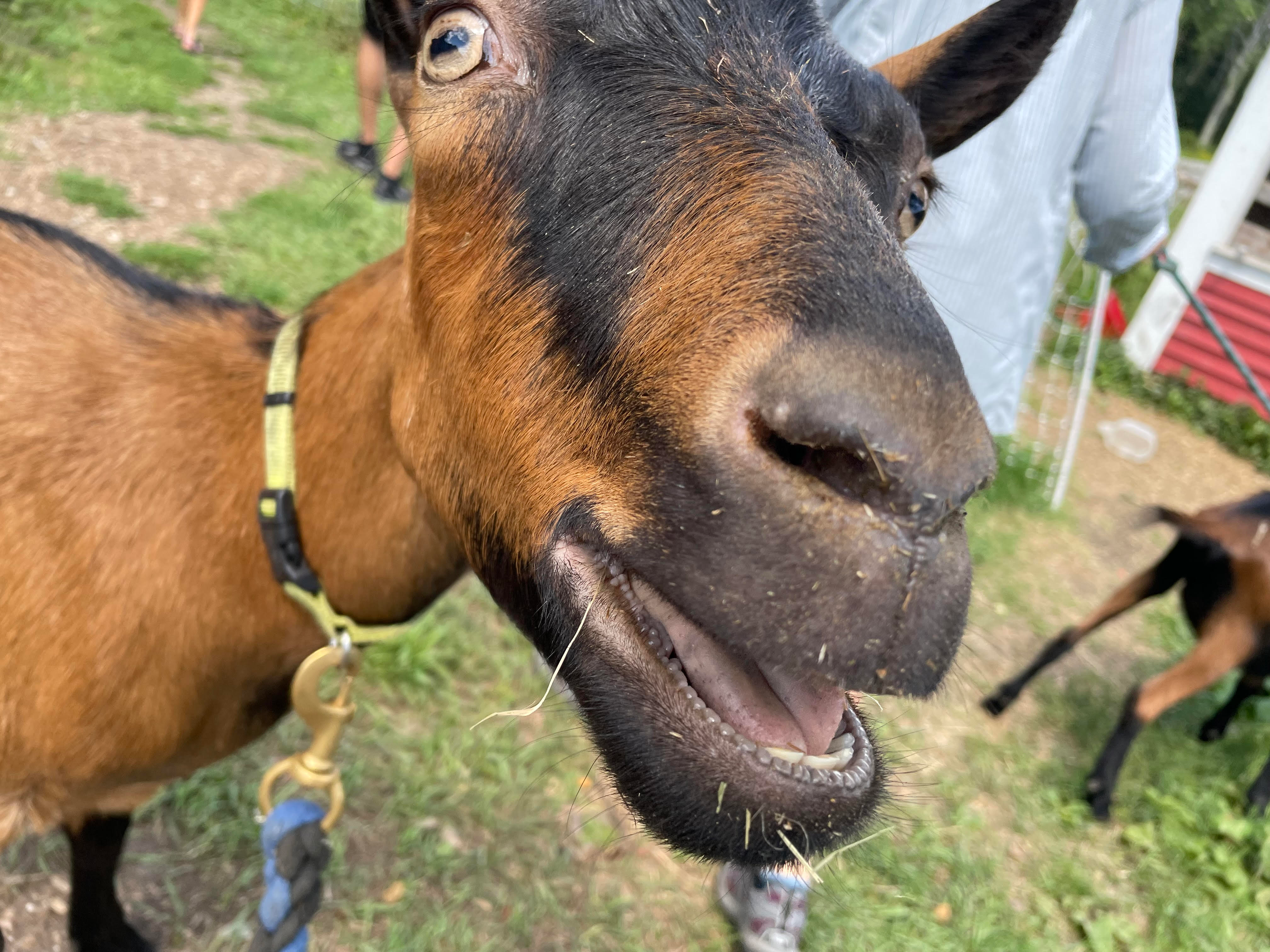 user avatar image for Tom the Engineer