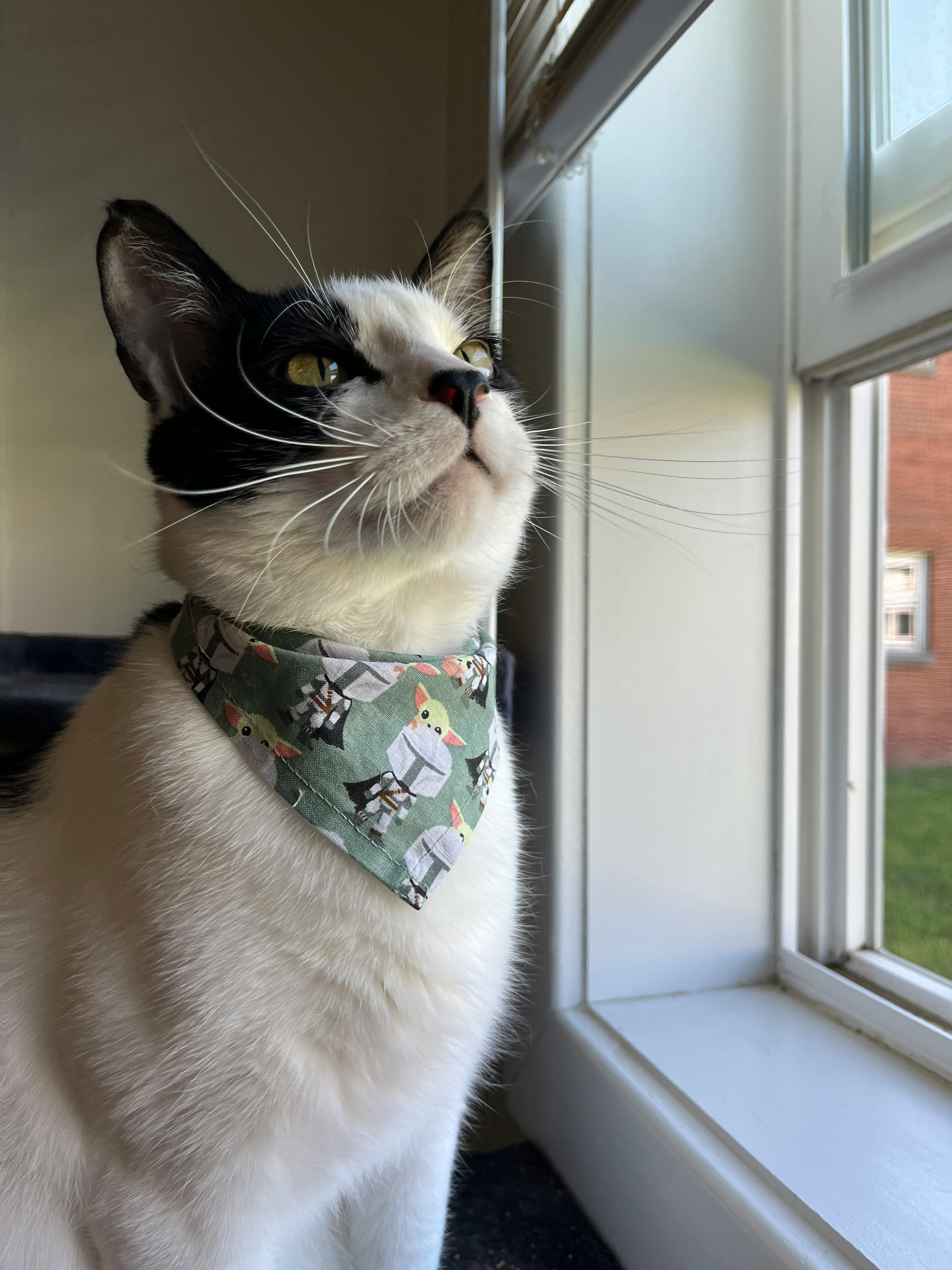 user avatar image for Hannah Palsa