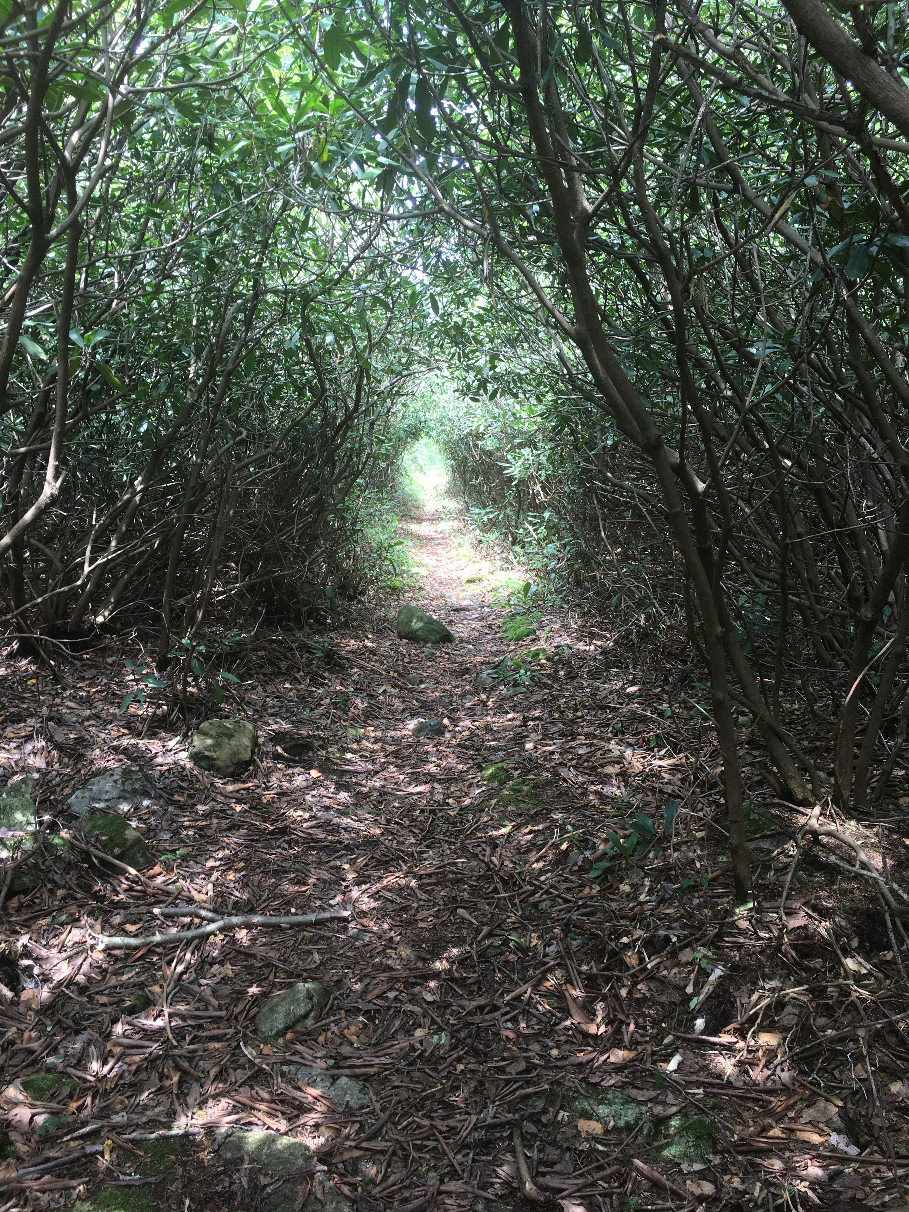 user avatar image for Julianna Davis