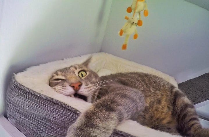 user avatar image for J Donald