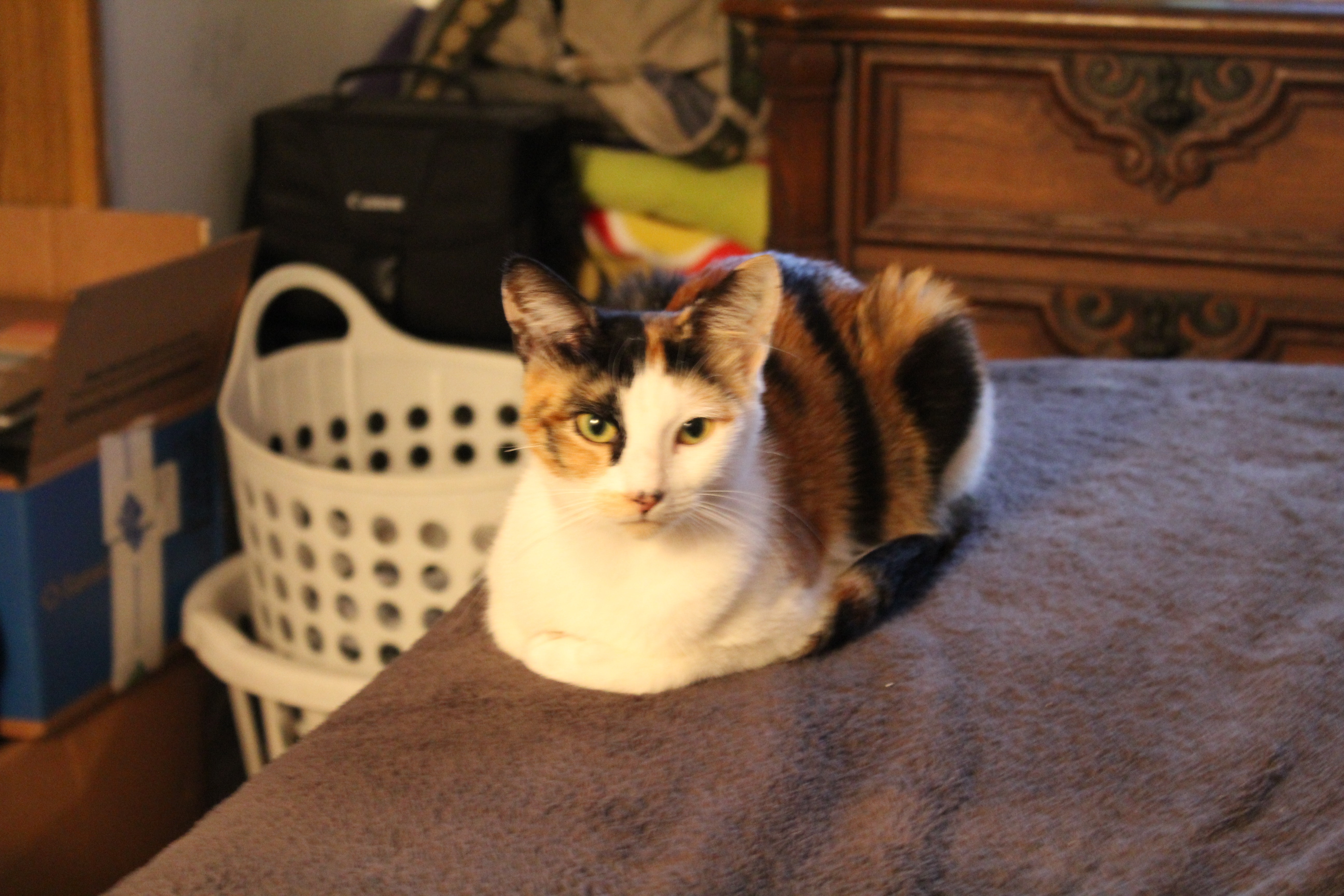 user avatar image for Jason