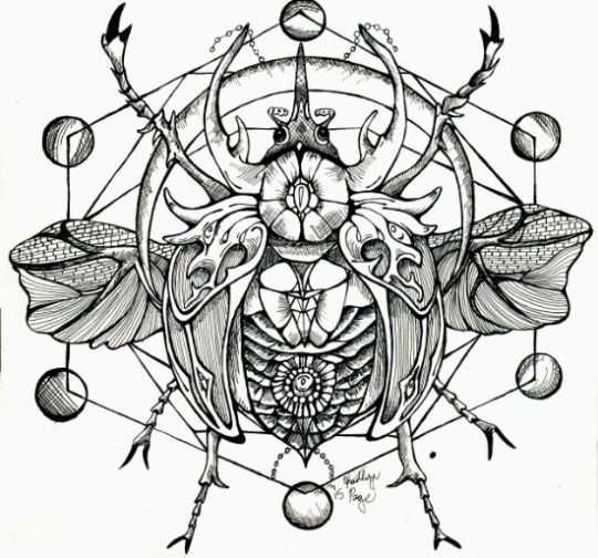 user avatar image for Grzegorz Sobczak