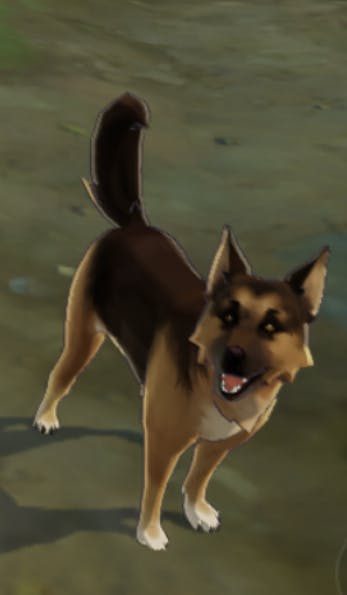 user avatar image for Jace Carpenter 