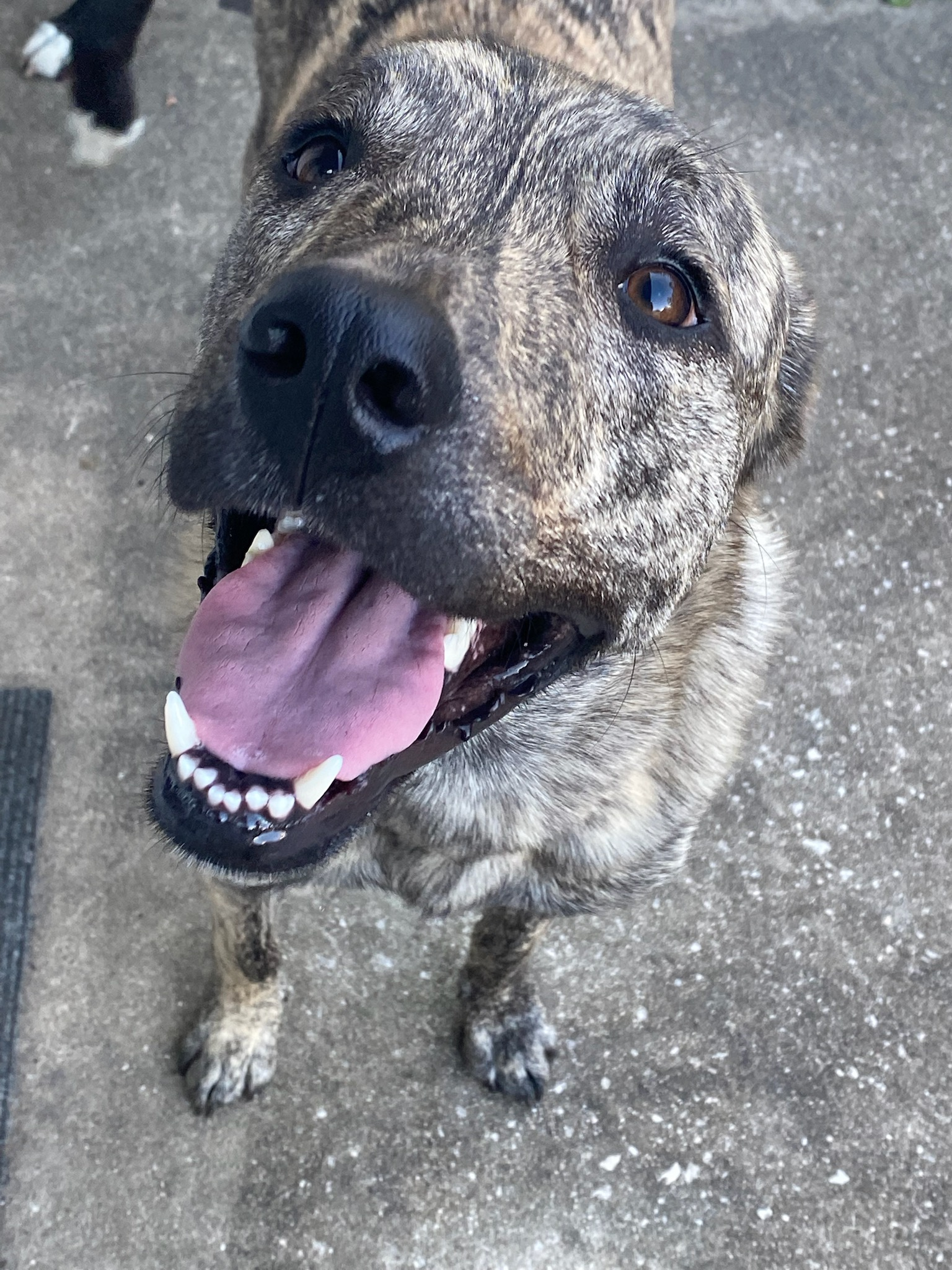 user avatar image for Brandie