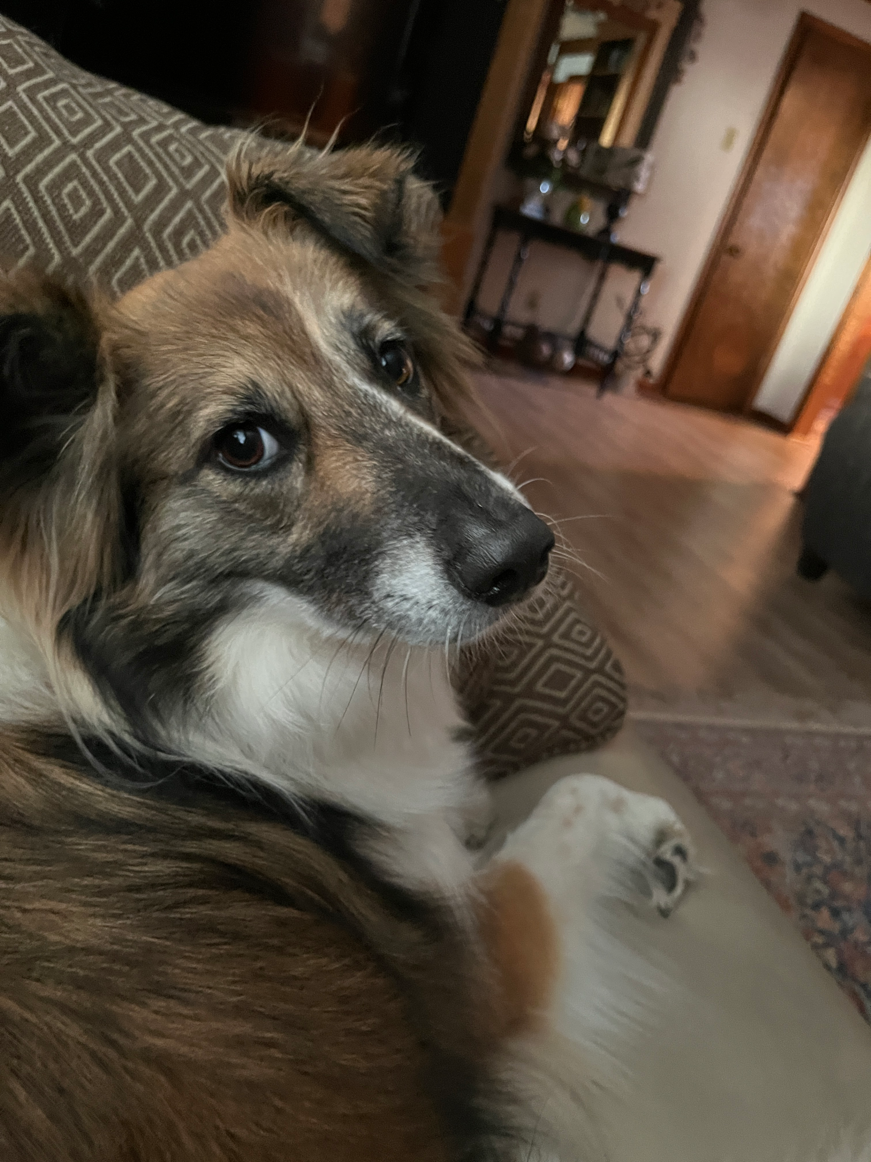 user avatar image for William C Christen