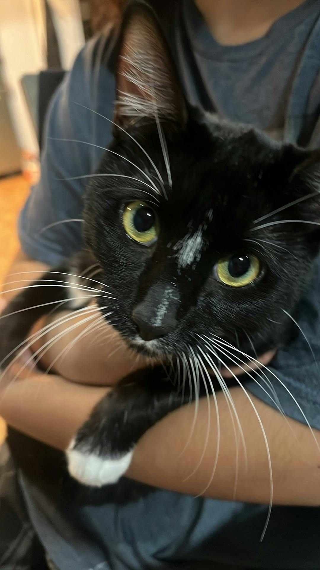 user avatar image for Krystalin Sanchez