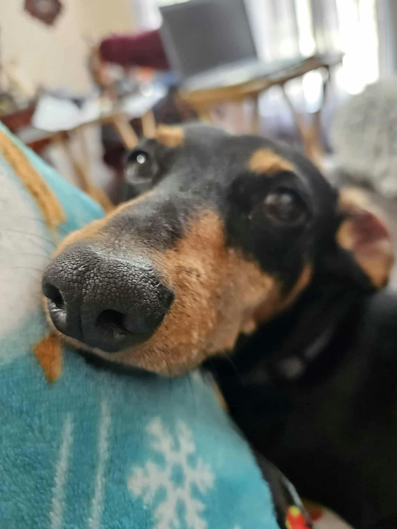 user avatar image for Katherine 